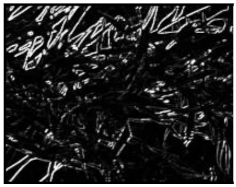 Remotesensing 13 00739 i005