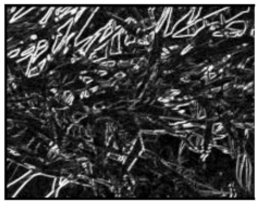 Remotesensing 13 00739 i006