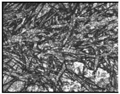 Remotesensing 13 00739 i008