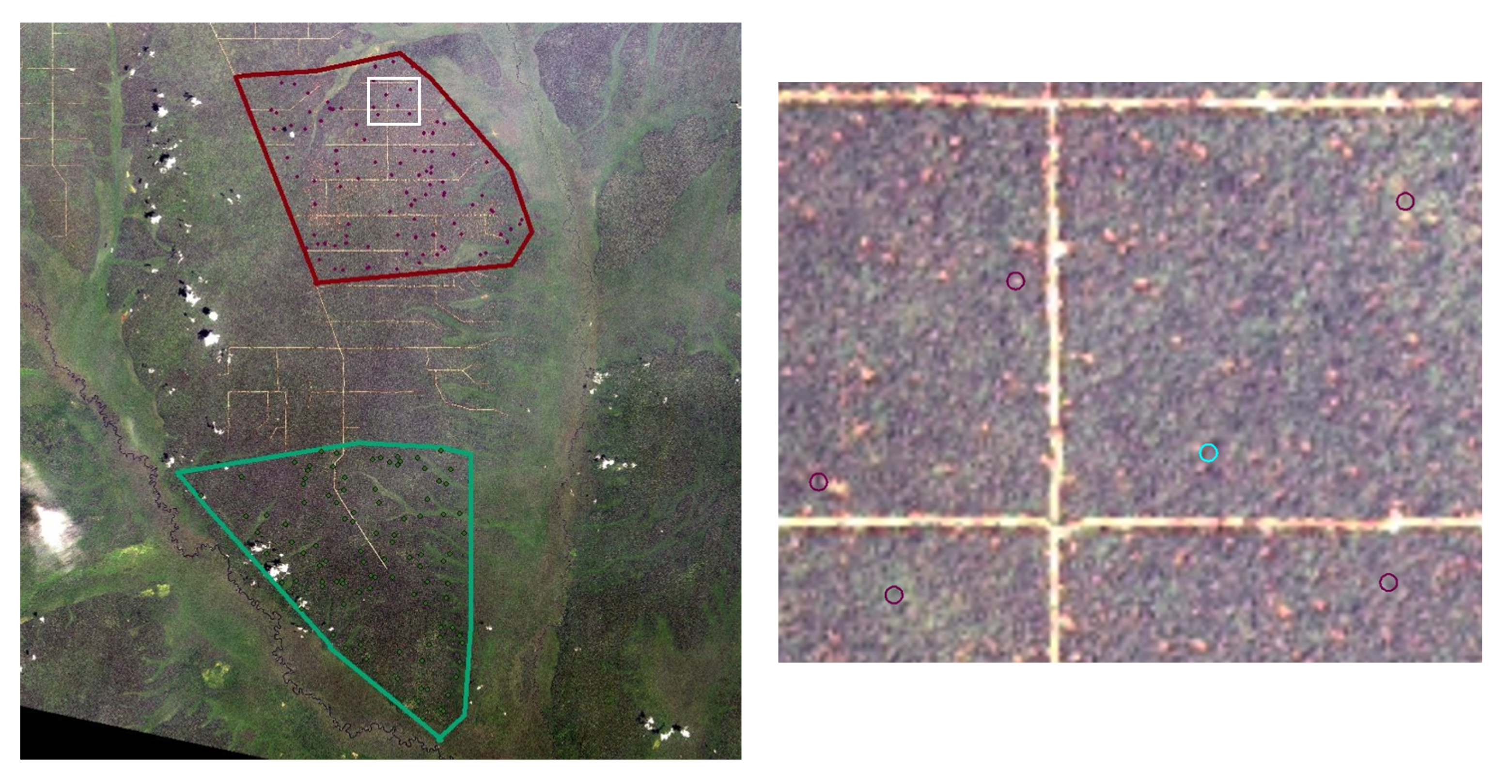 Remotesensing 13 00740 g003