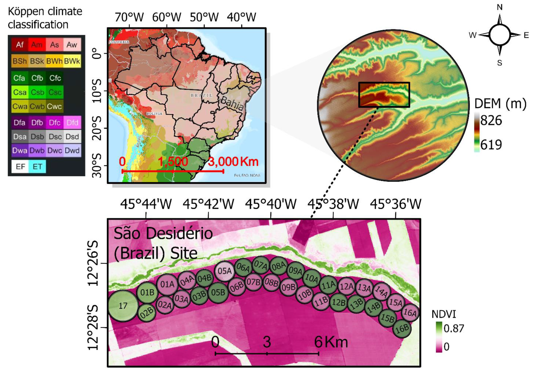 Remotesensing 13 00773 g004