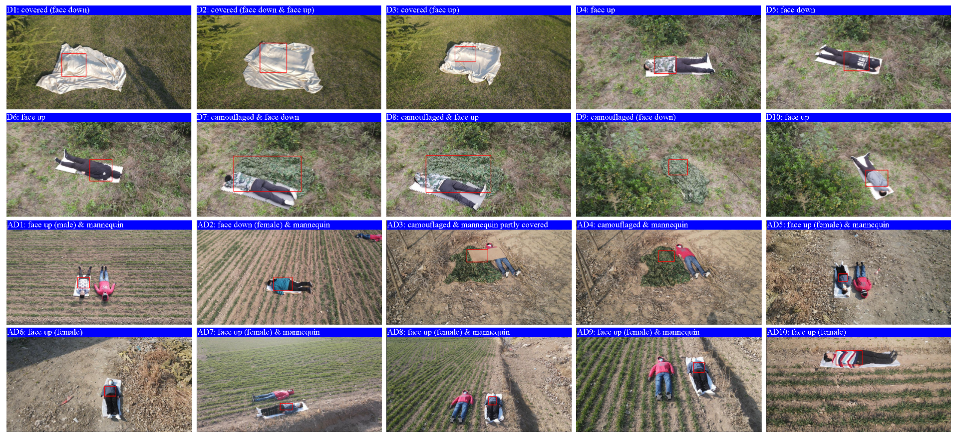Remotesensing 13 00796 g002 Remotesensing 13 00796 g002