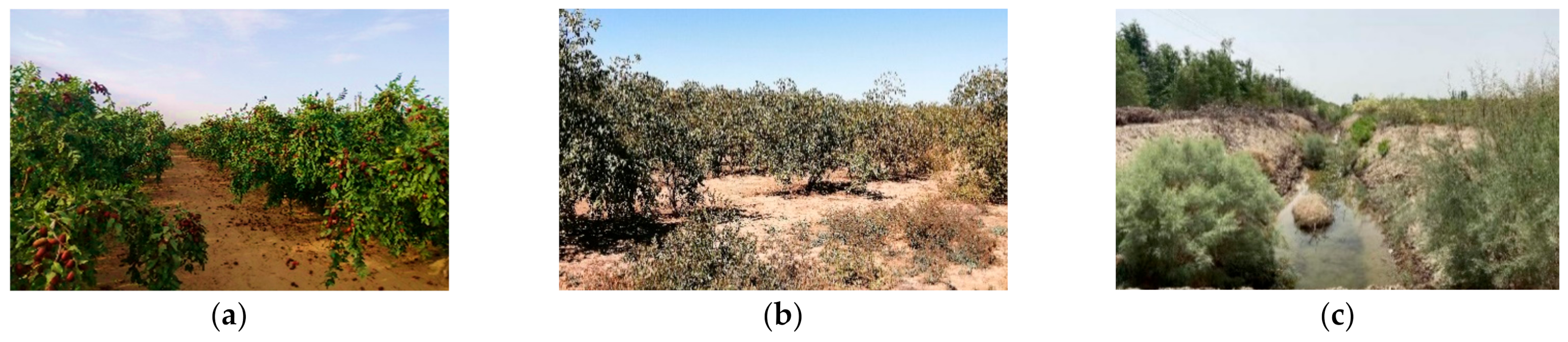 Remotesensing 13 00801 g002