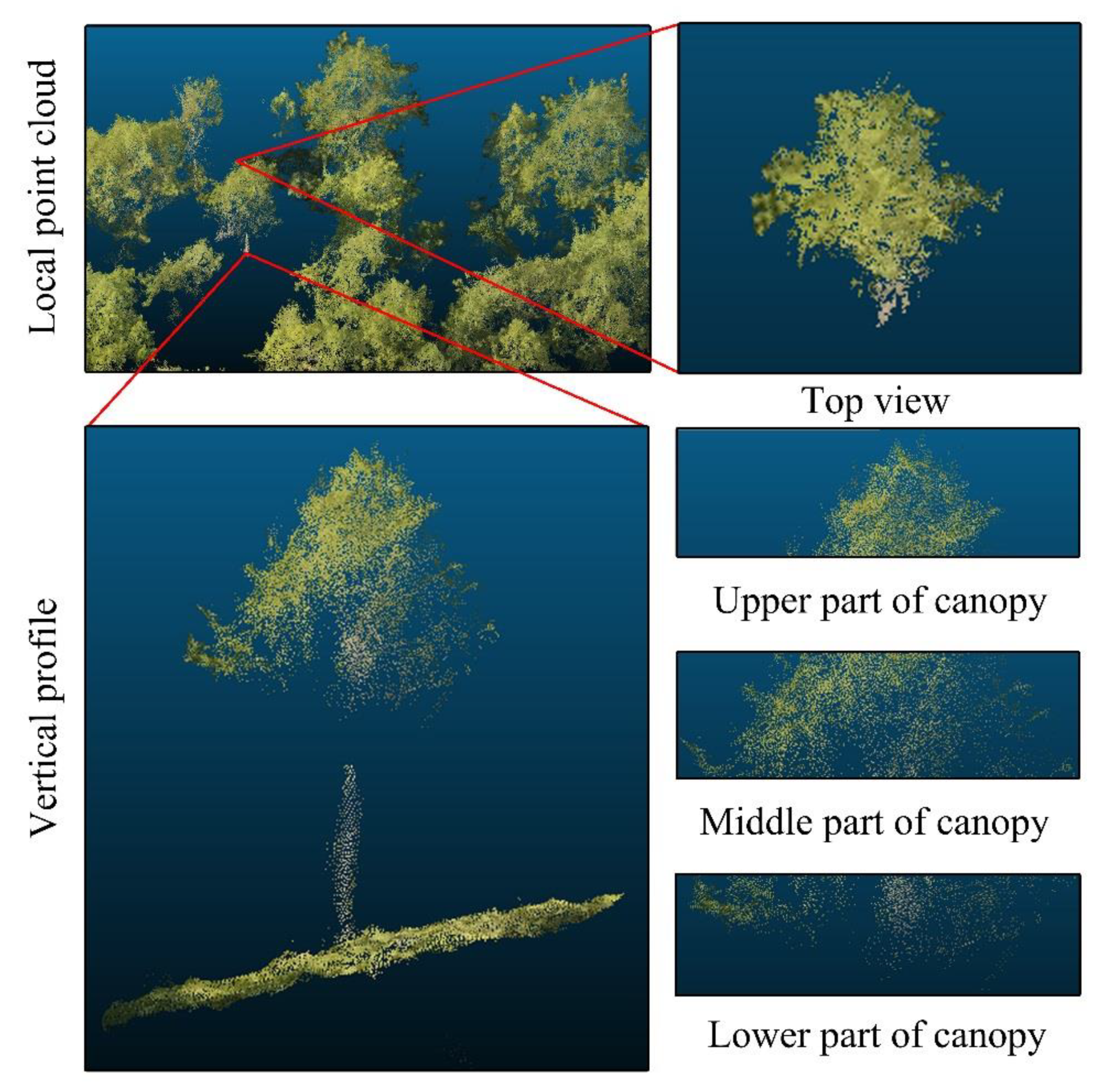 Remotesensing 13 00803 g012