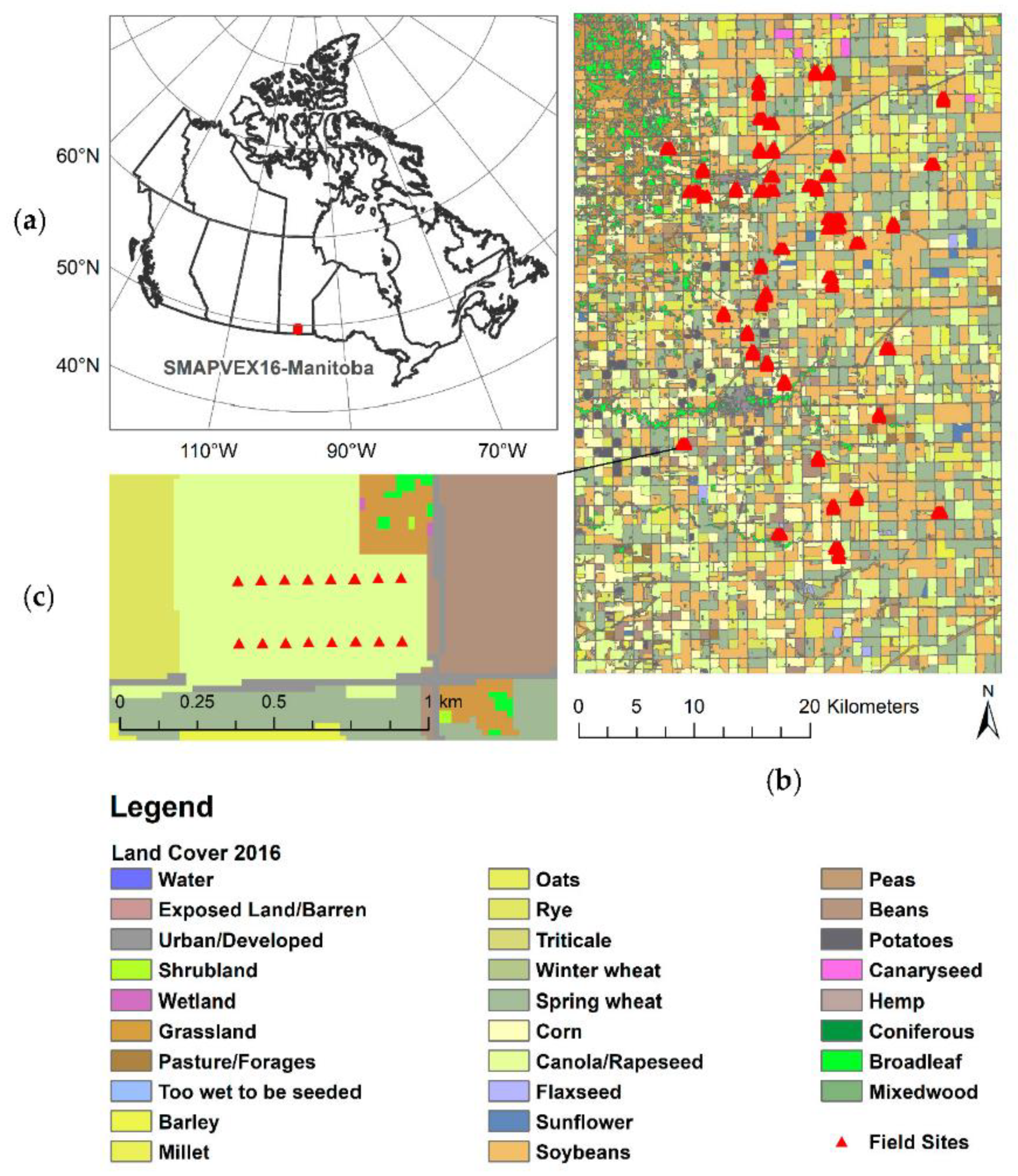 Remotesensing 13 00806 g002