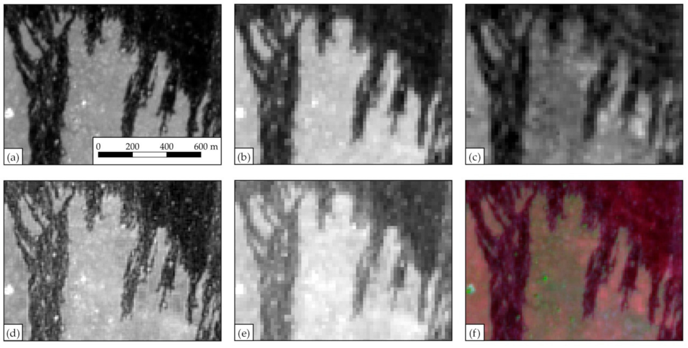 Remotesensing 13 00816 g005