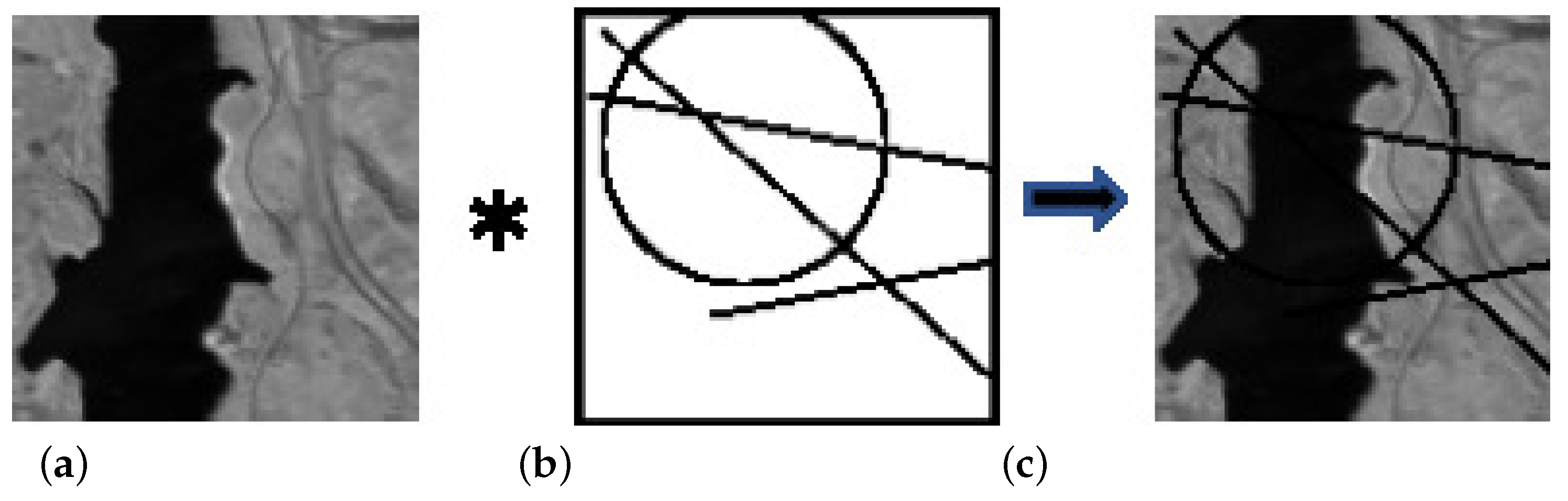 Remotesensing 13 00819 g004