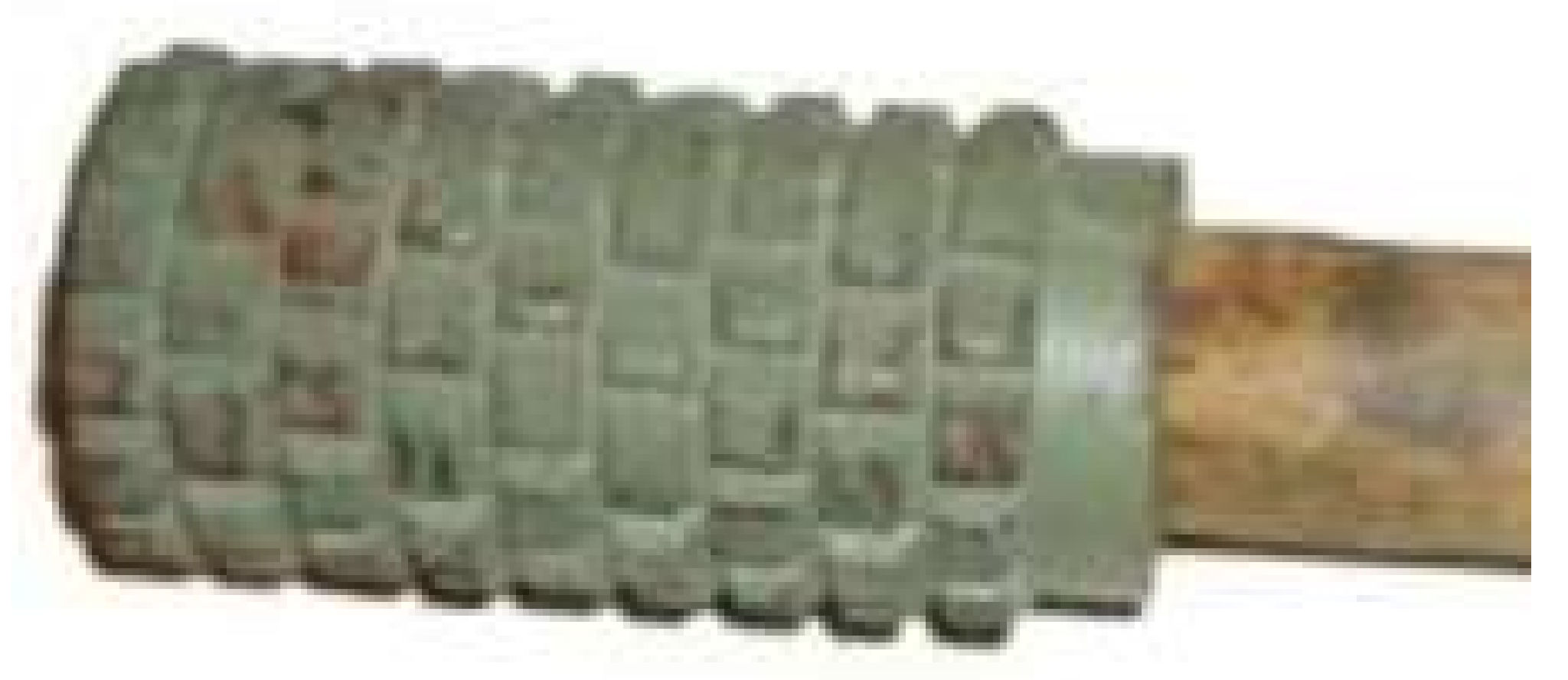 Remotesensing 13 00837 g015