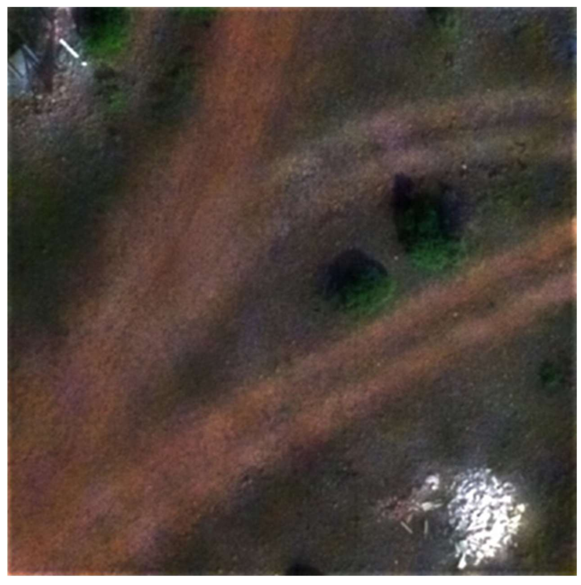 Remotesensing 13 00837 g019