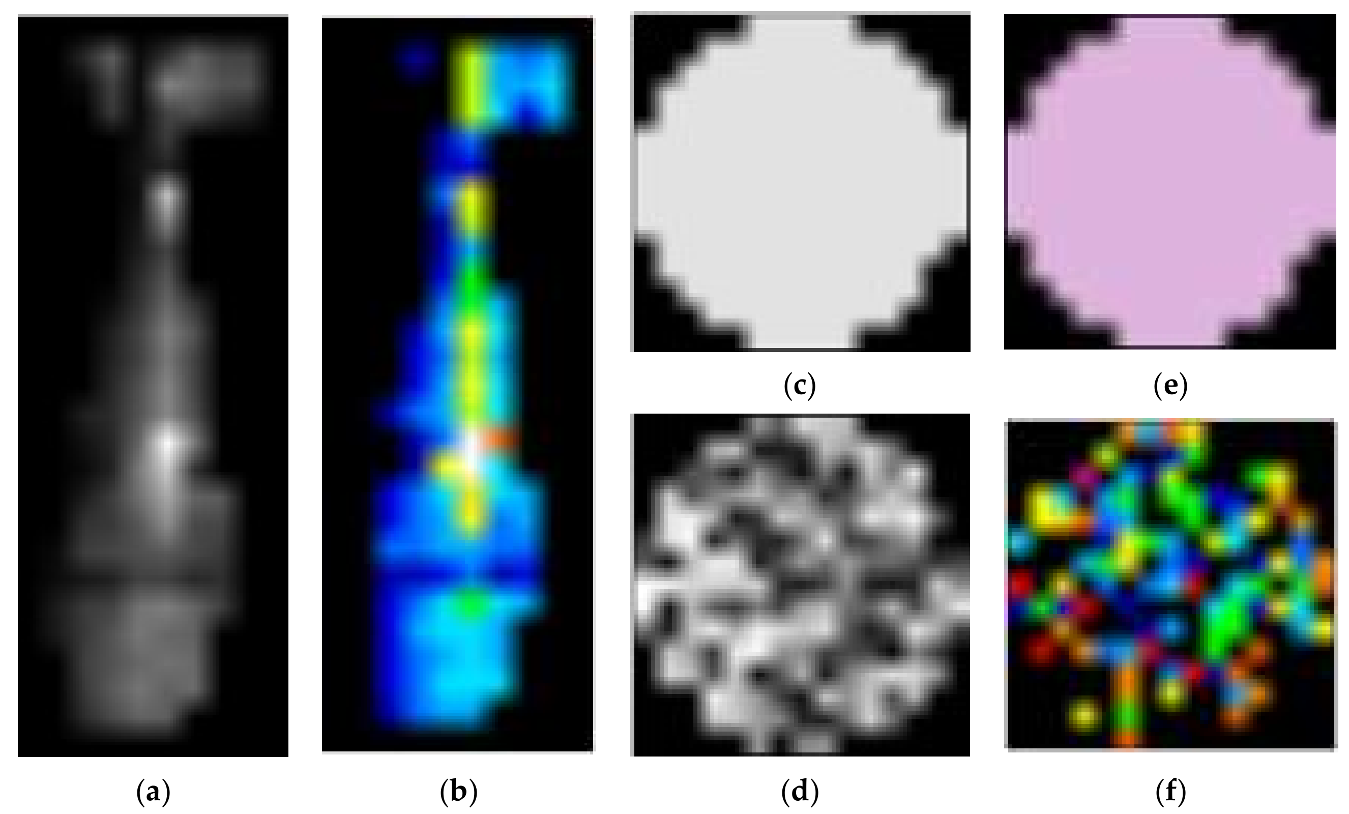 Remotesensing 13 00837 g025