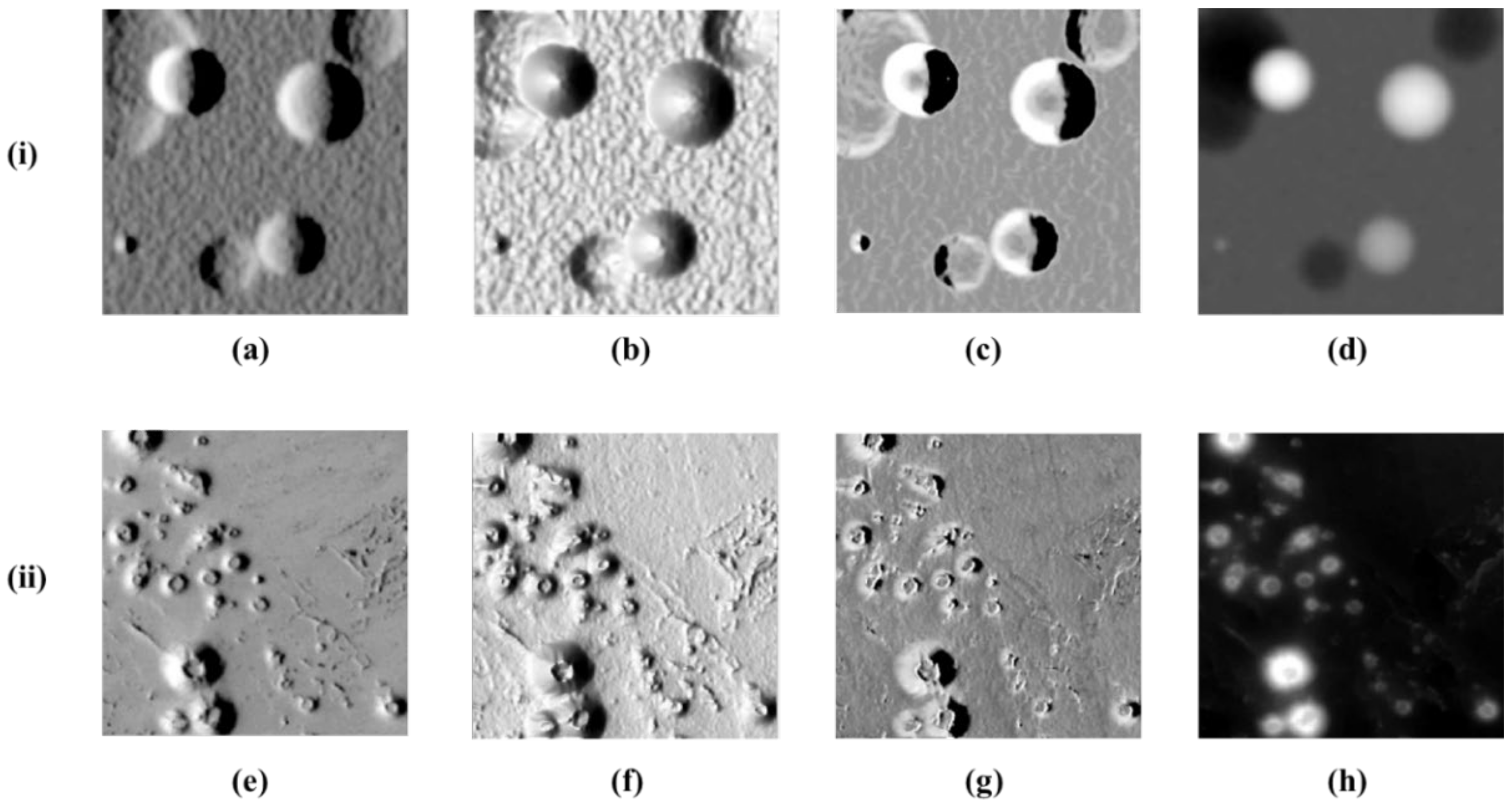 Remotesensing 13 00839 g003 Remotesensing 13 00839 g003