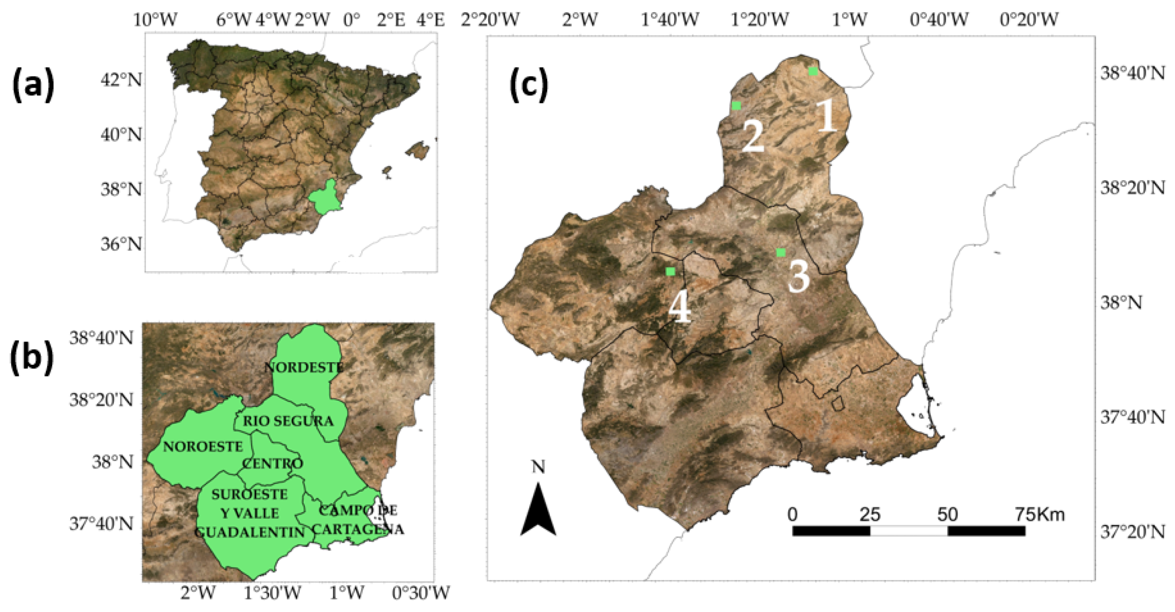Remotesensing 13 00840 g001