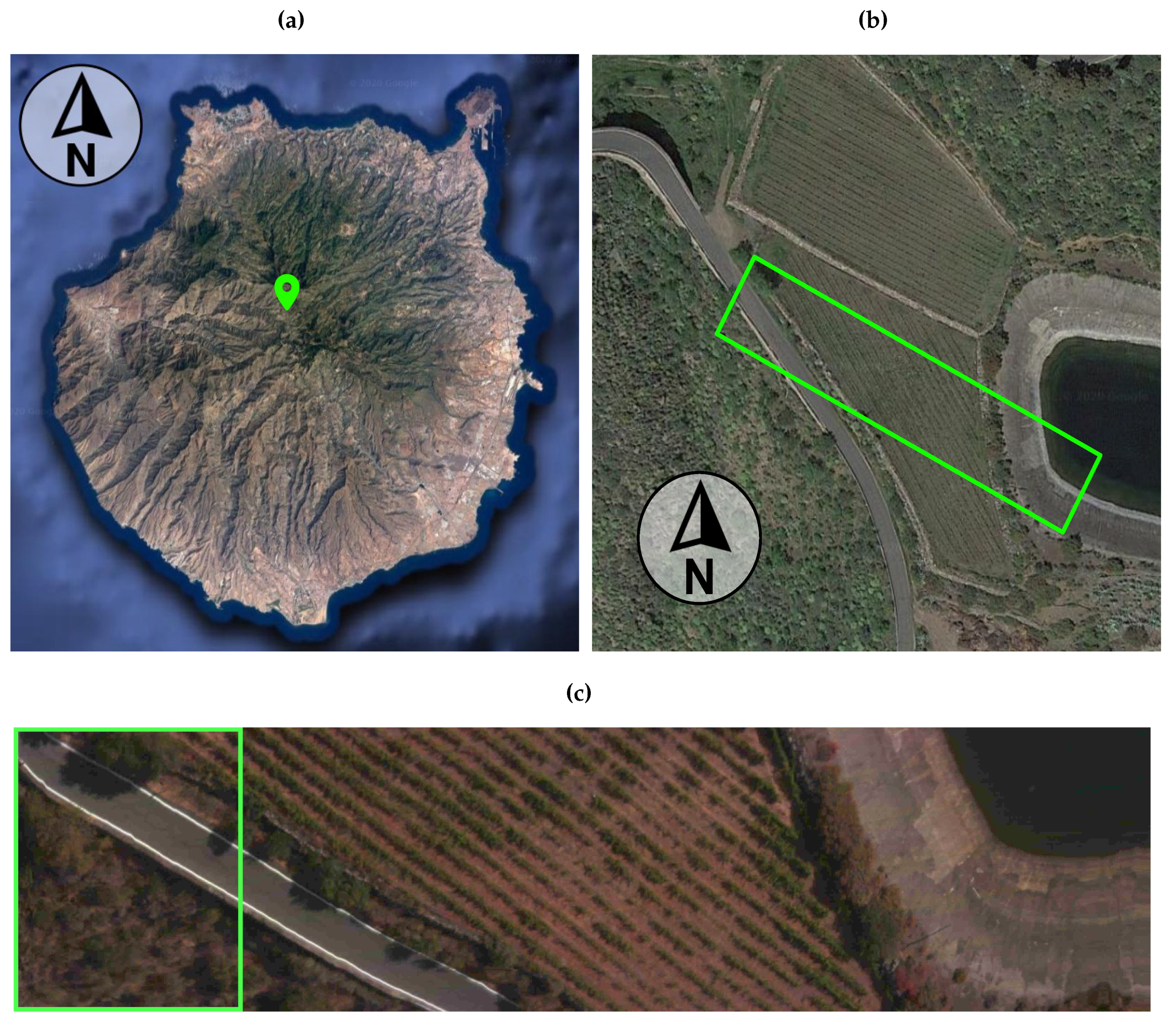 Remotesensing 13 00850 g007