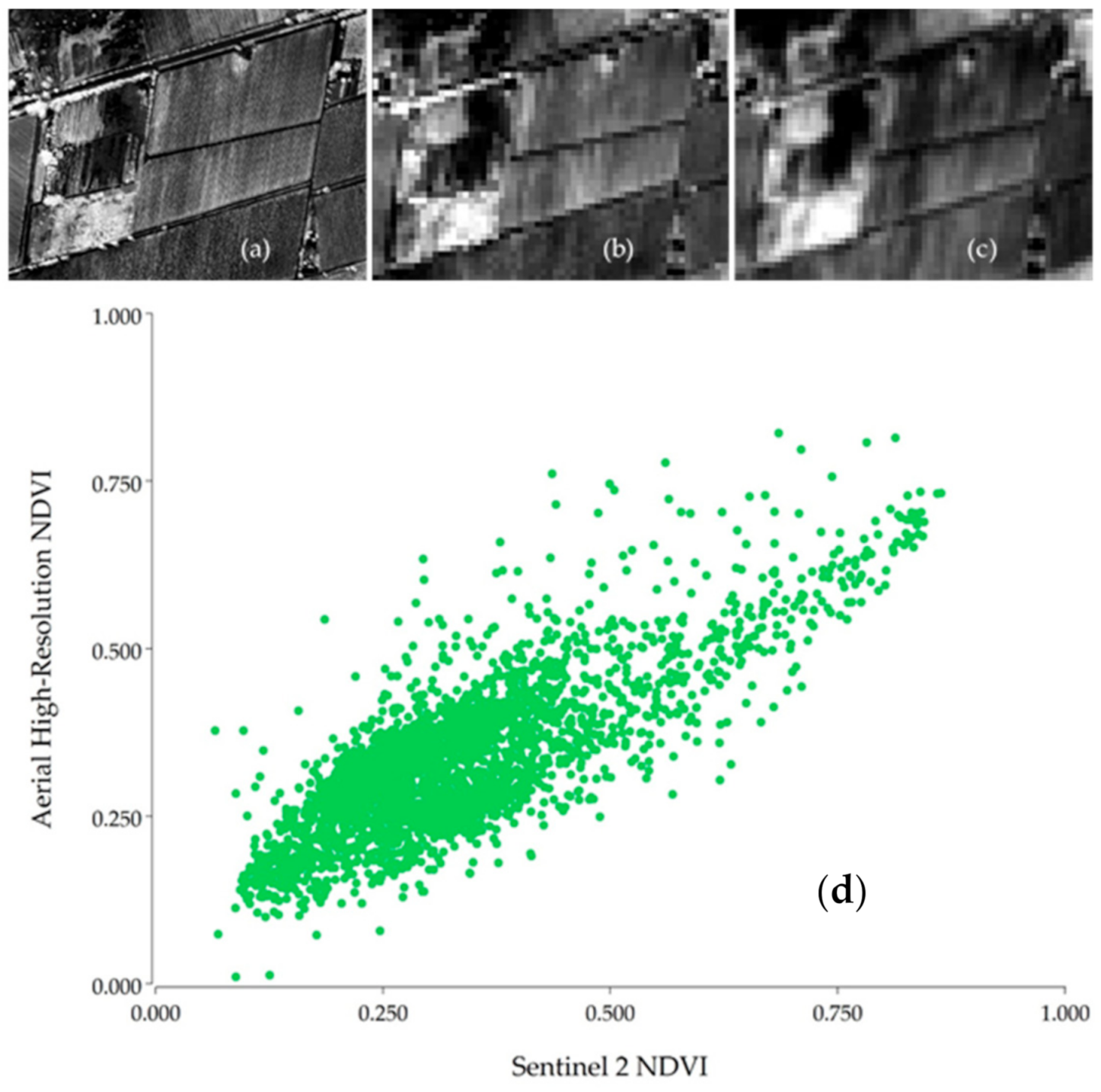 Remotesensing 13 00855 g003