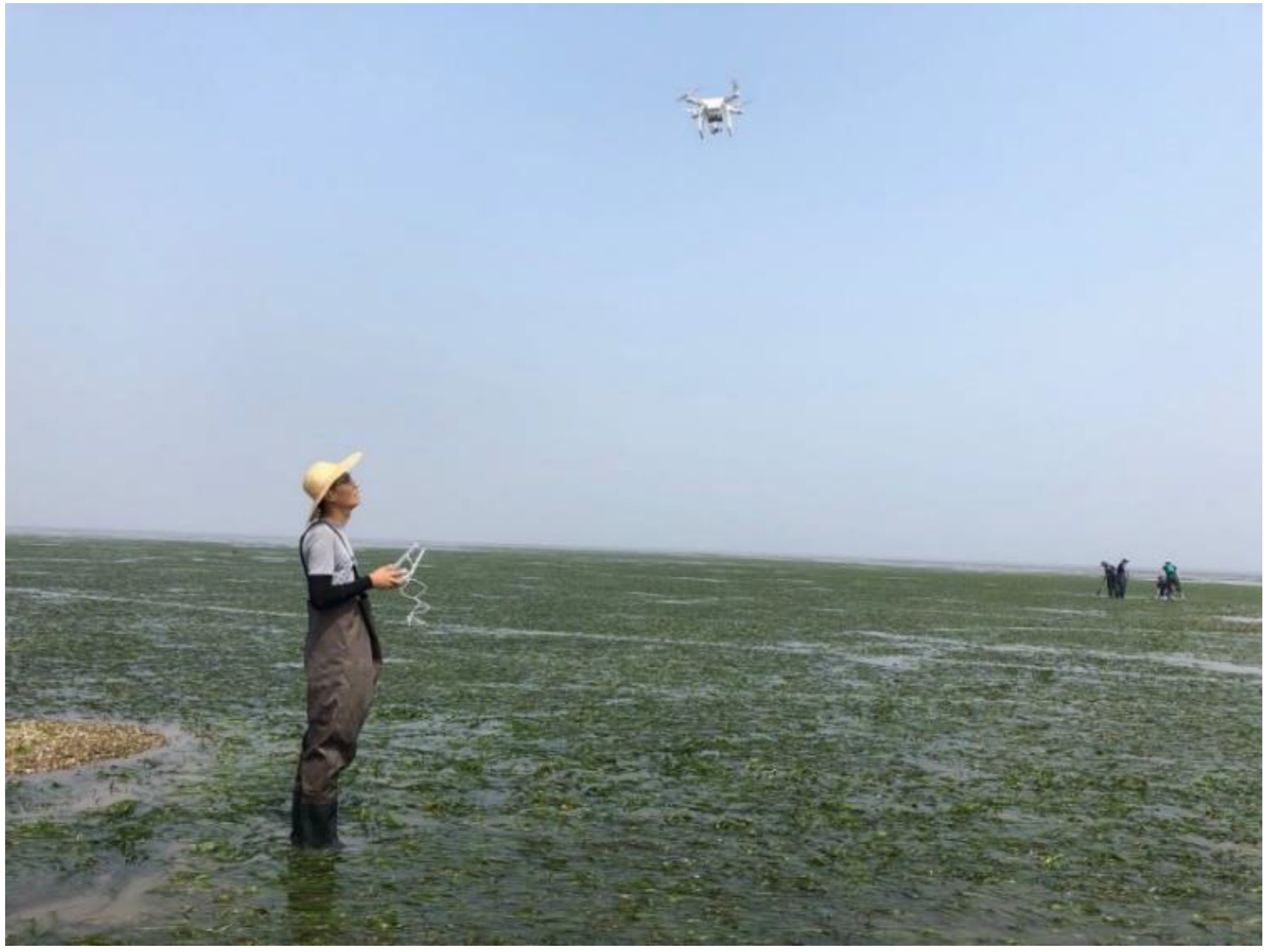 Remotesensing 13 00856 g003