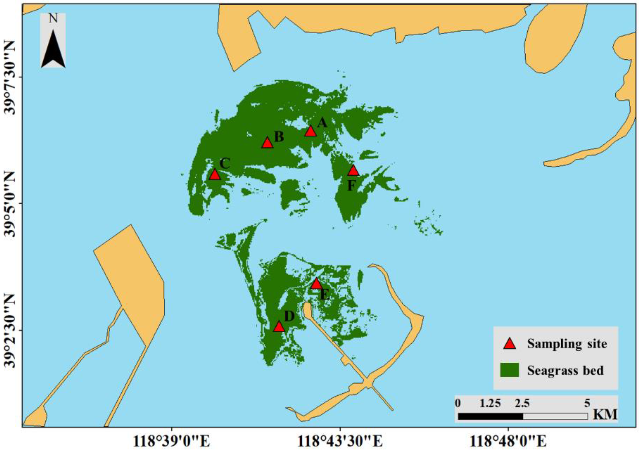 Remotesensing 13 00856 g004