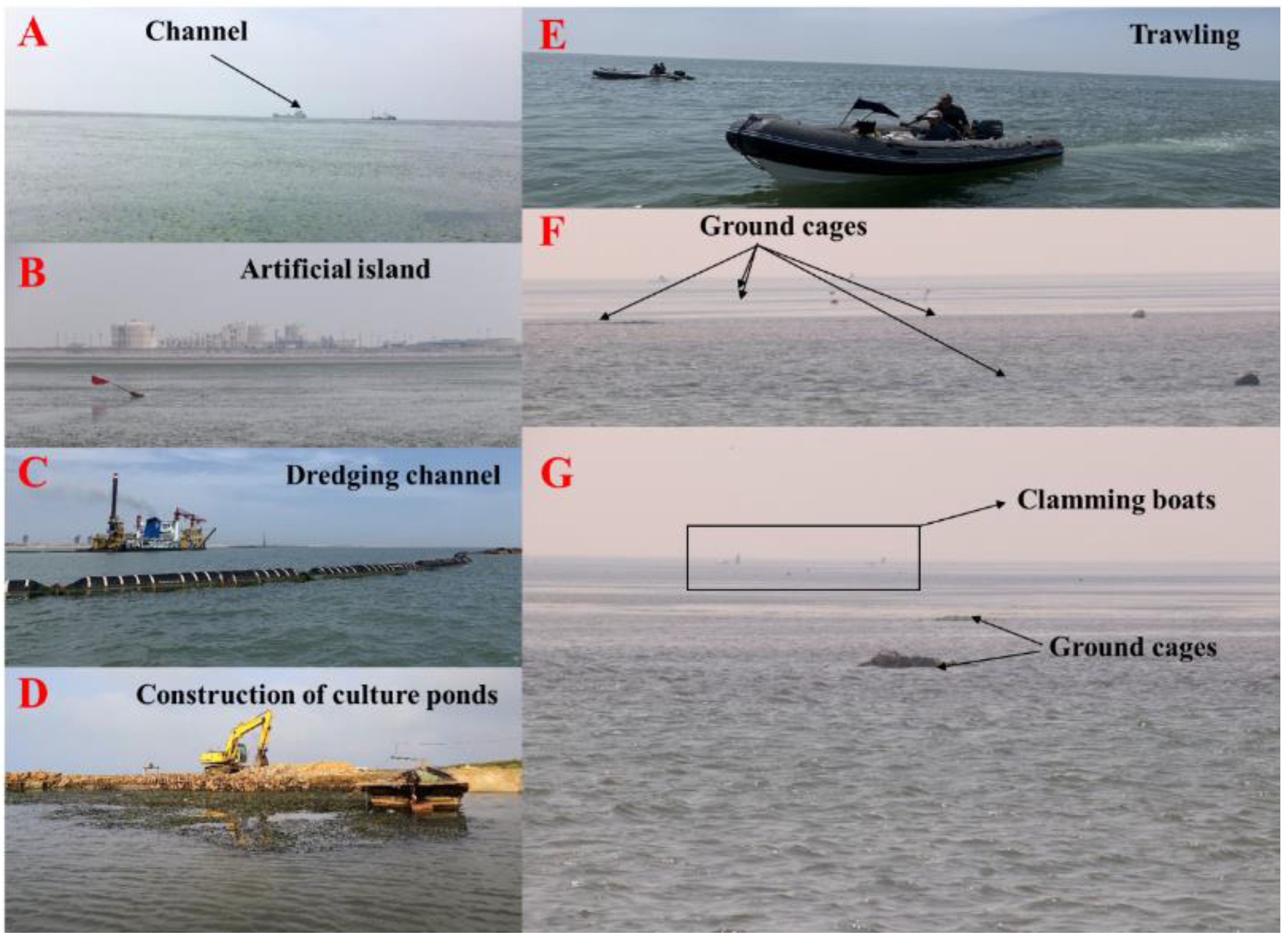 Remotesensing 13 00856 g012