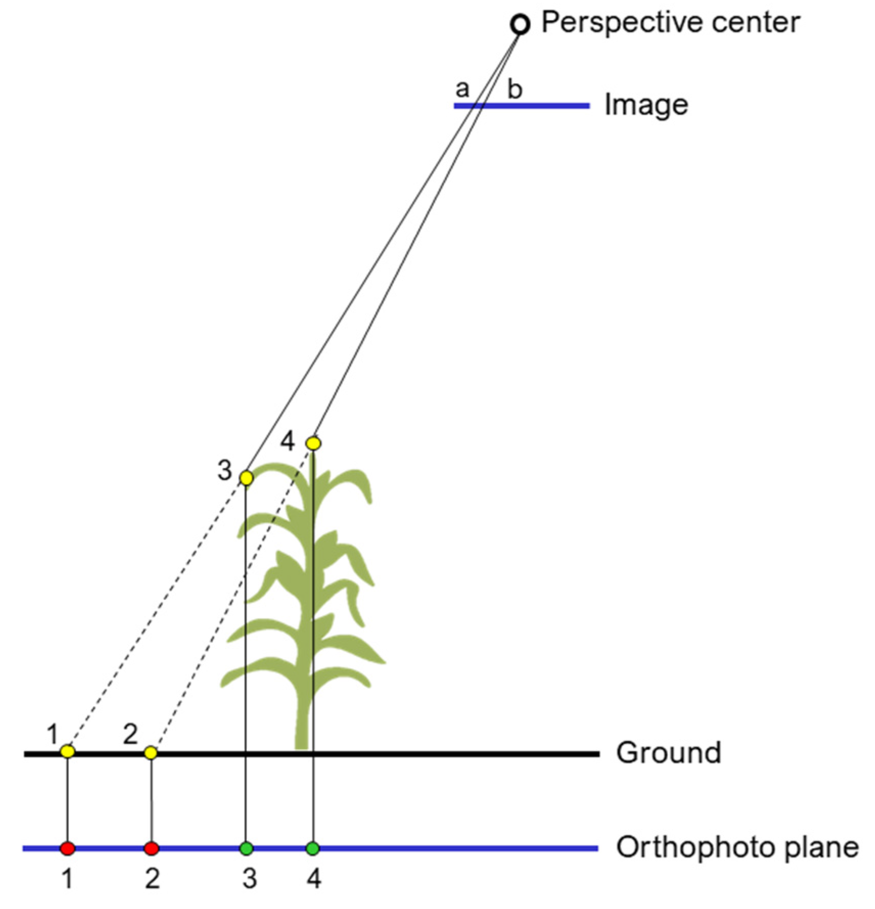 Remotesensing 13 00860 g002