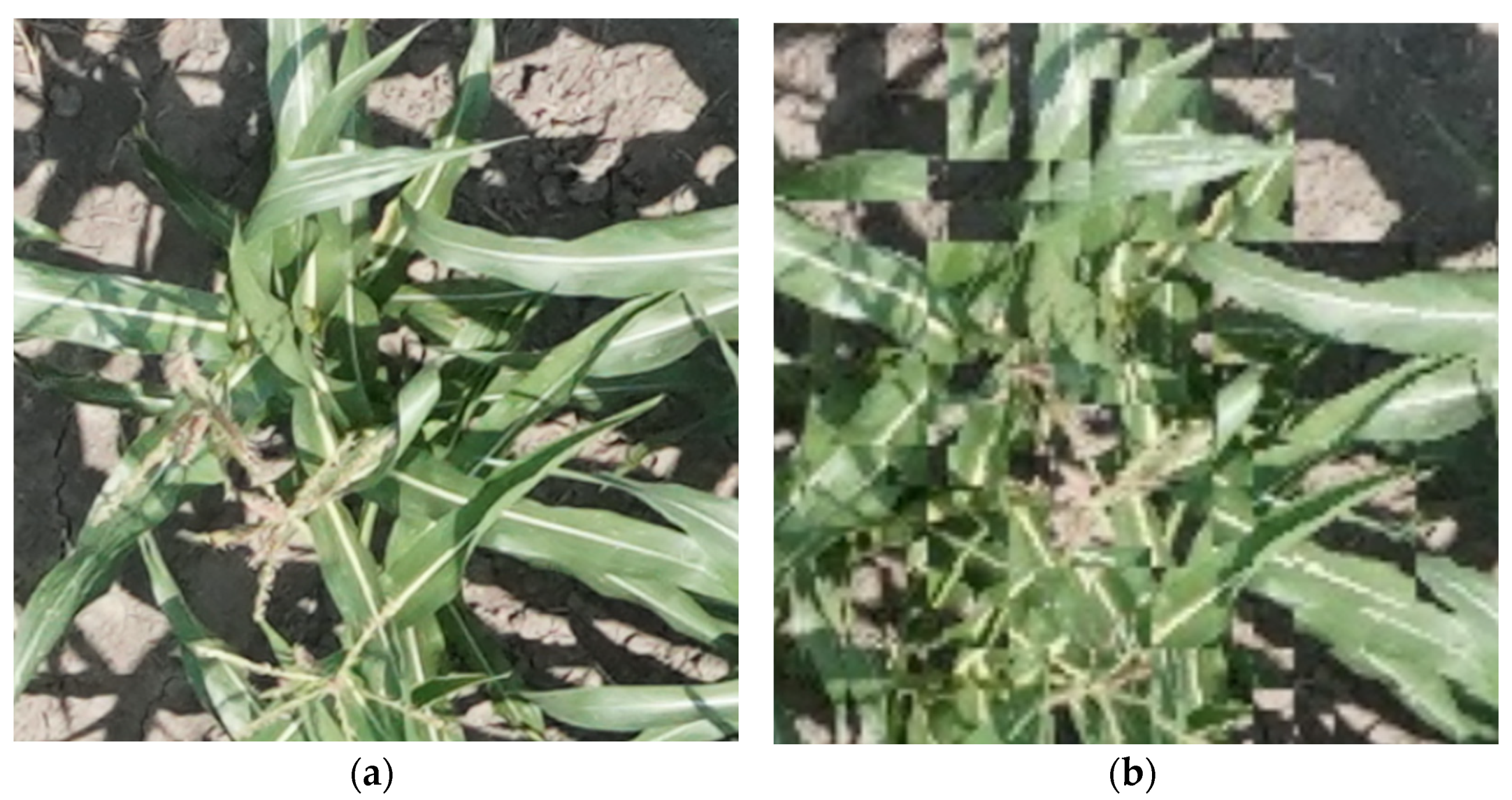 Remotesensing 13 00860 g003