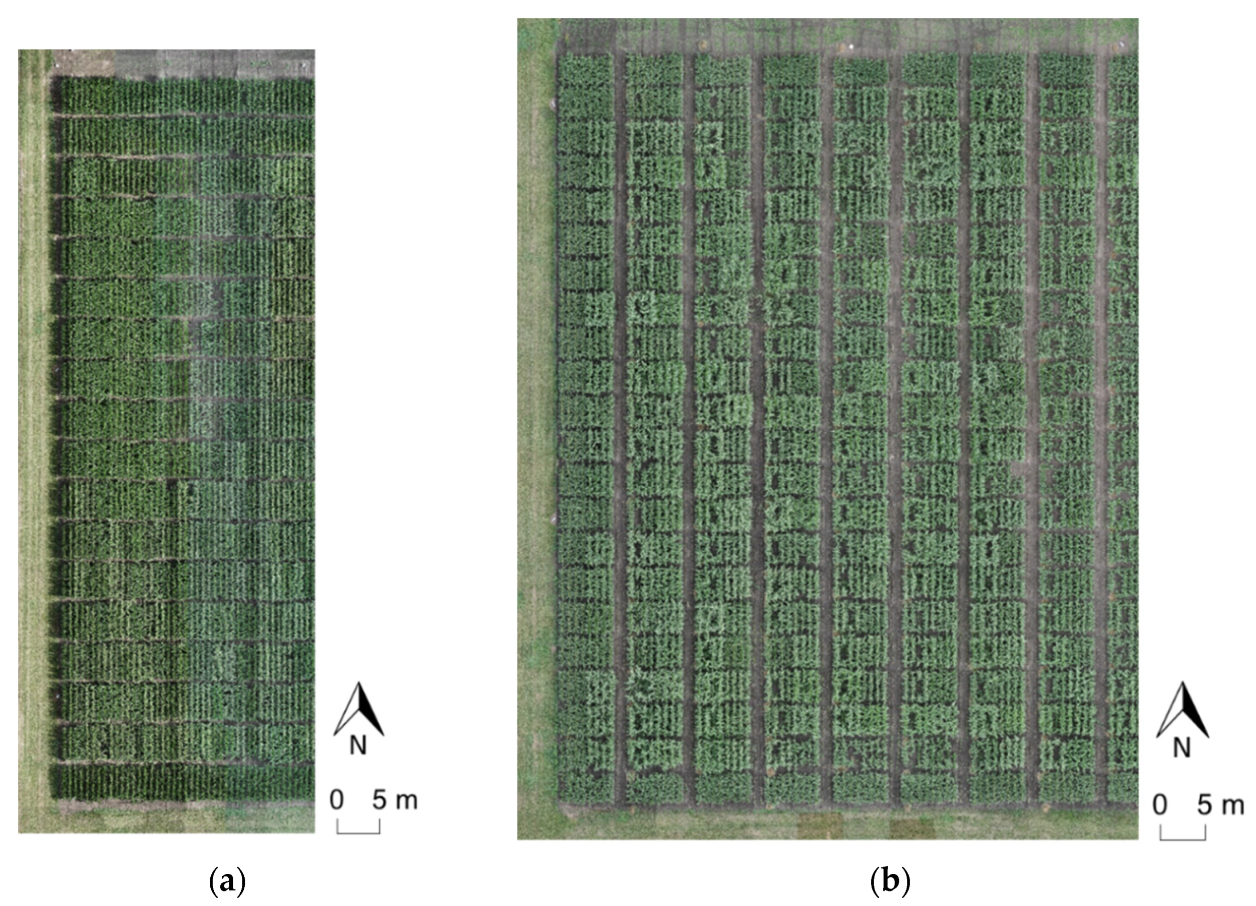 Remotesensing 13 00860 g006