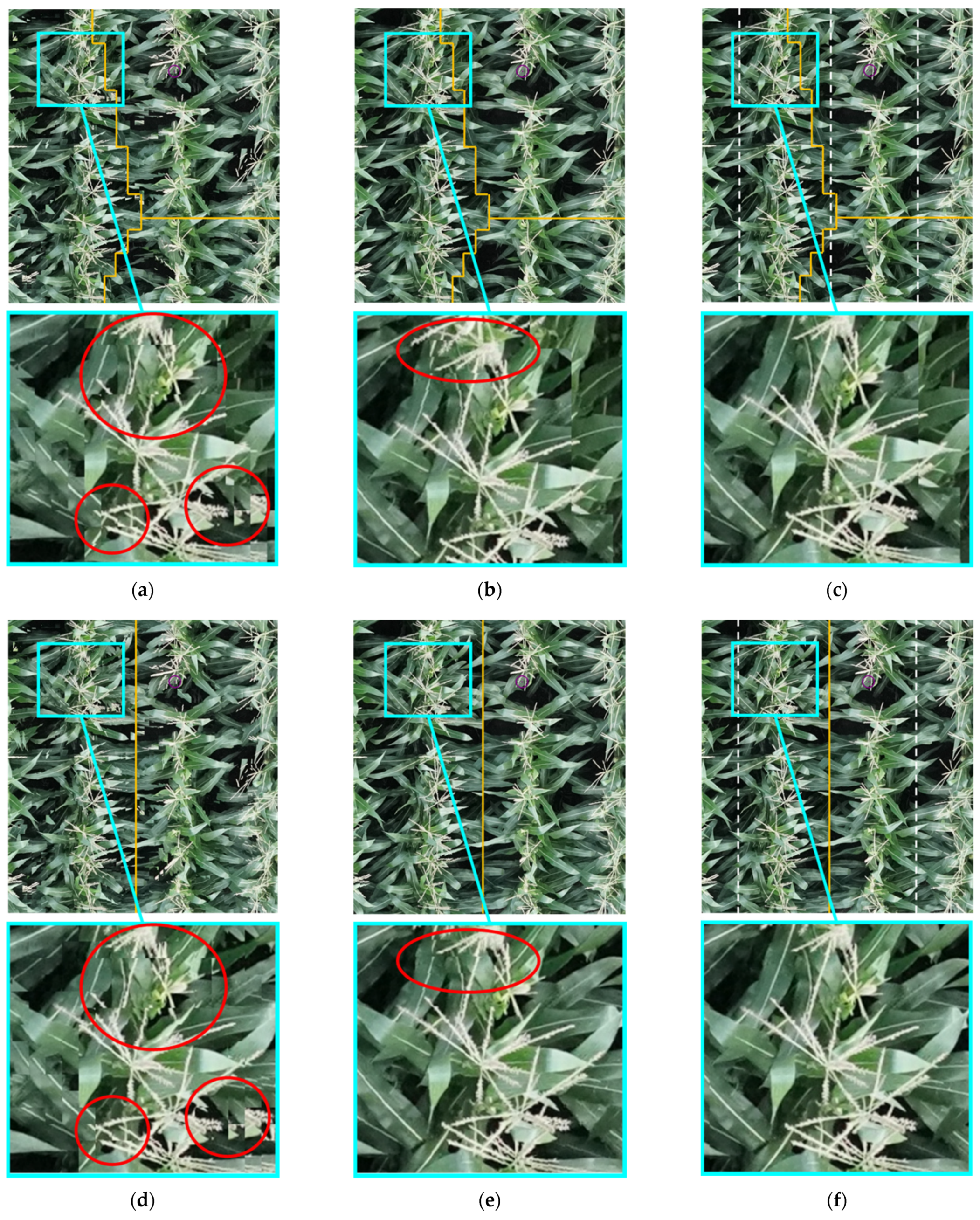 Remotesensing 13 00860 g015