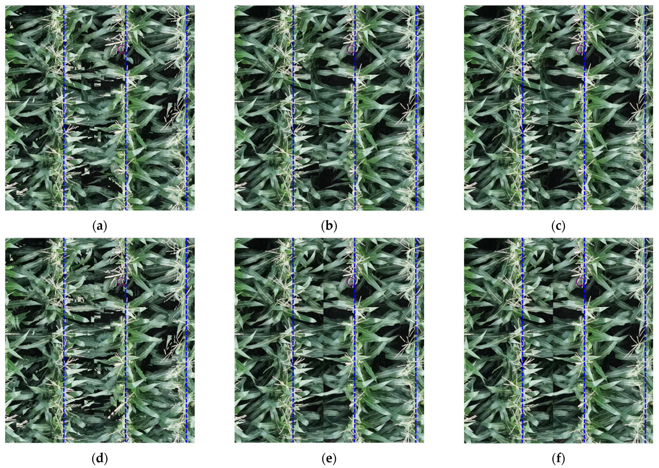 Remotesensing 13 00860 g016