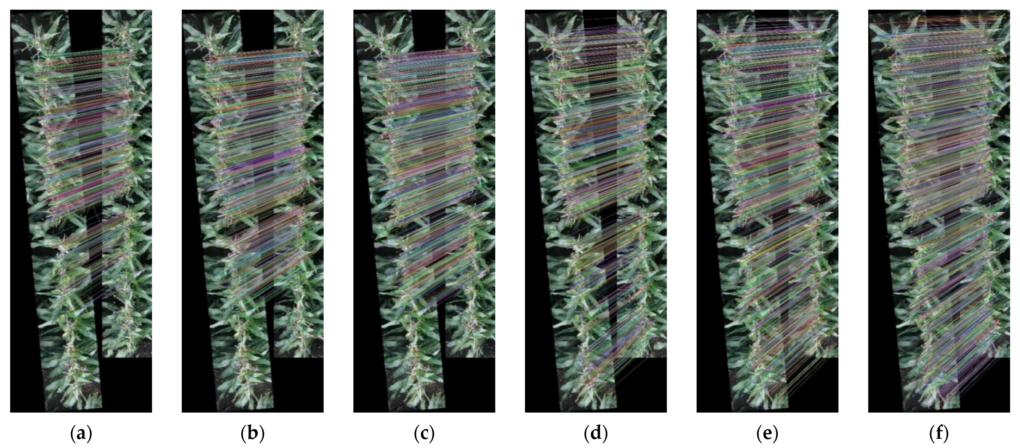 Remotesensing 13 00860 g017