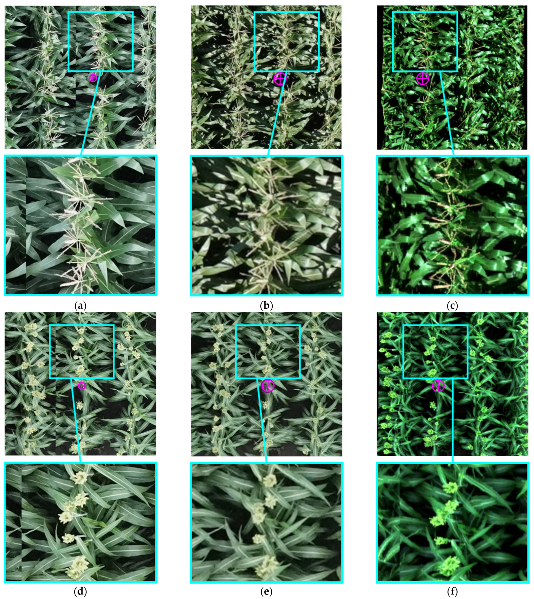 Remotesensing 13 00860 g018