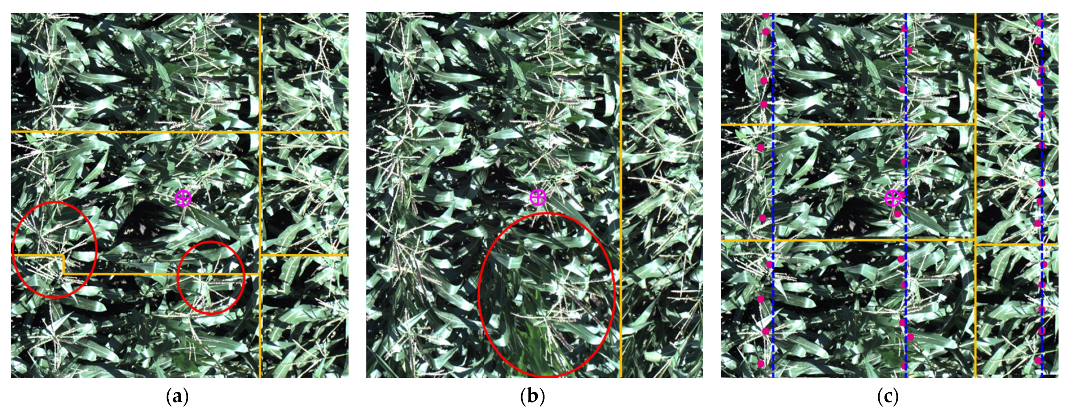 Remotesensing 13 00860 g020