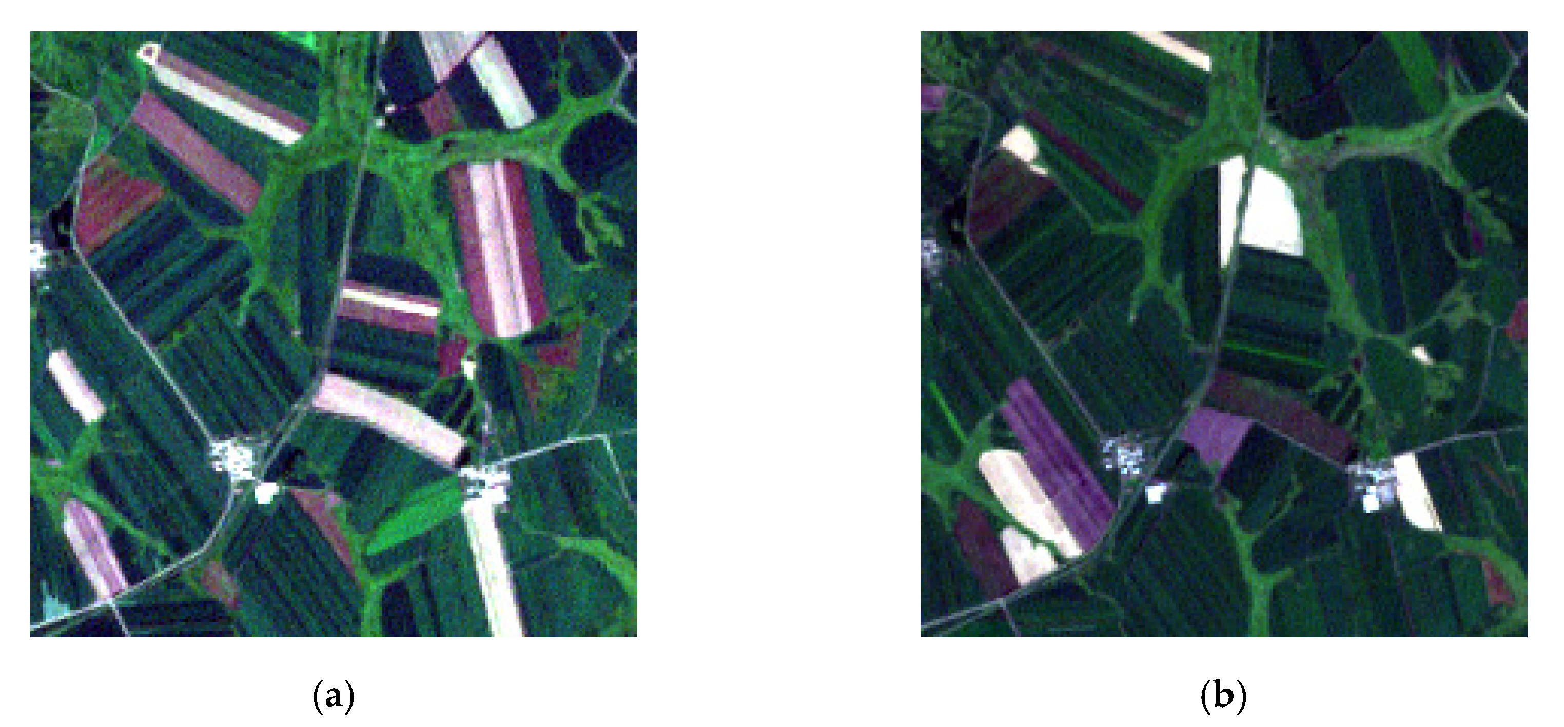 Remotesensing 13 00868 g005