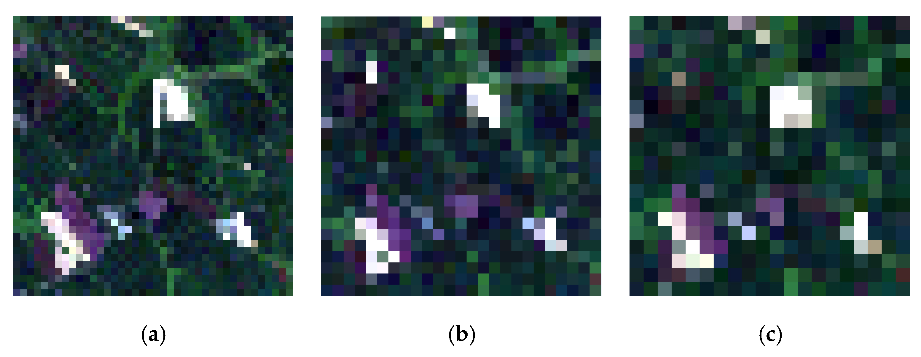 Remotesensing 13 00868 g006