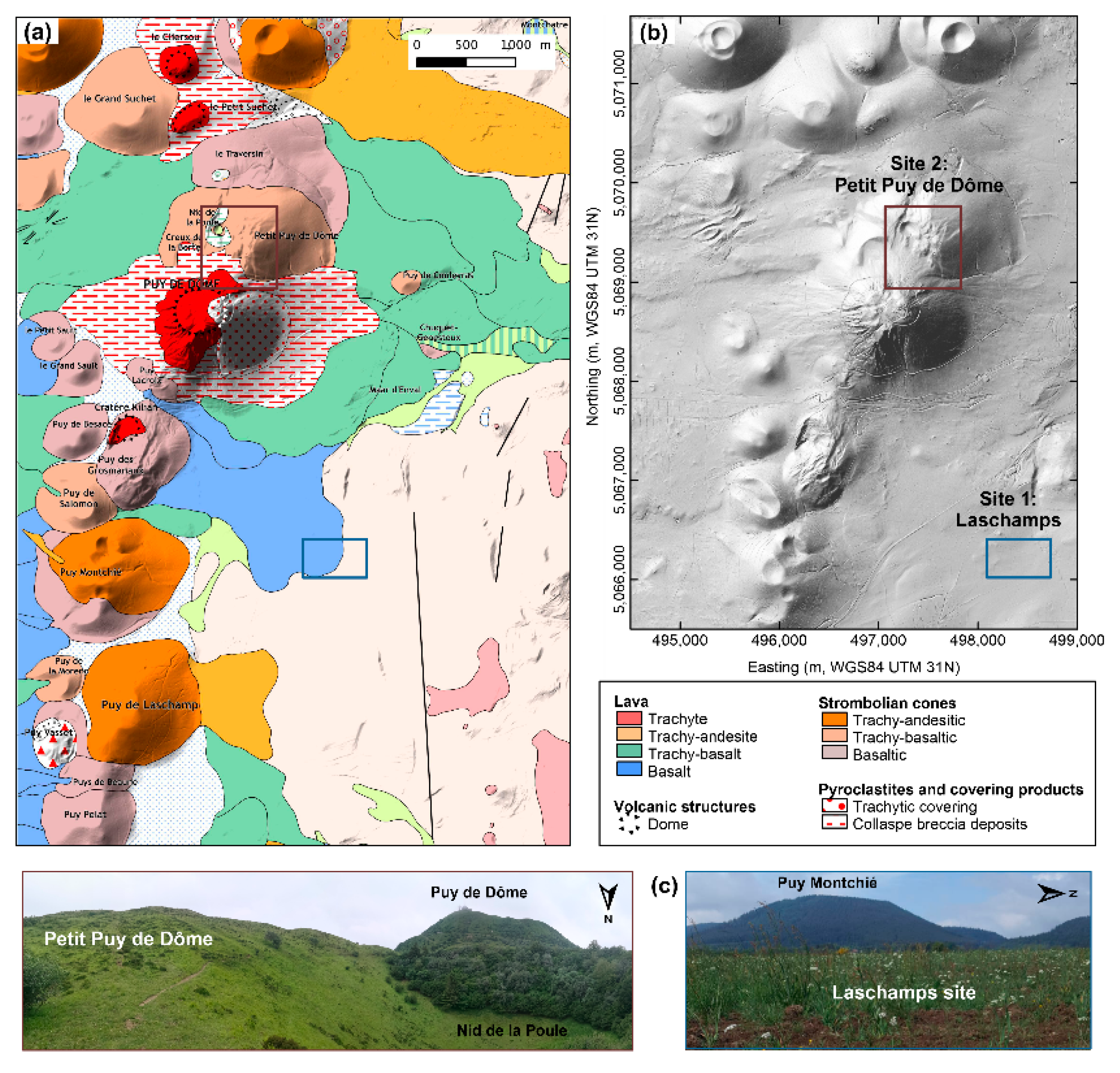 Remotesensing 13 00894 g001