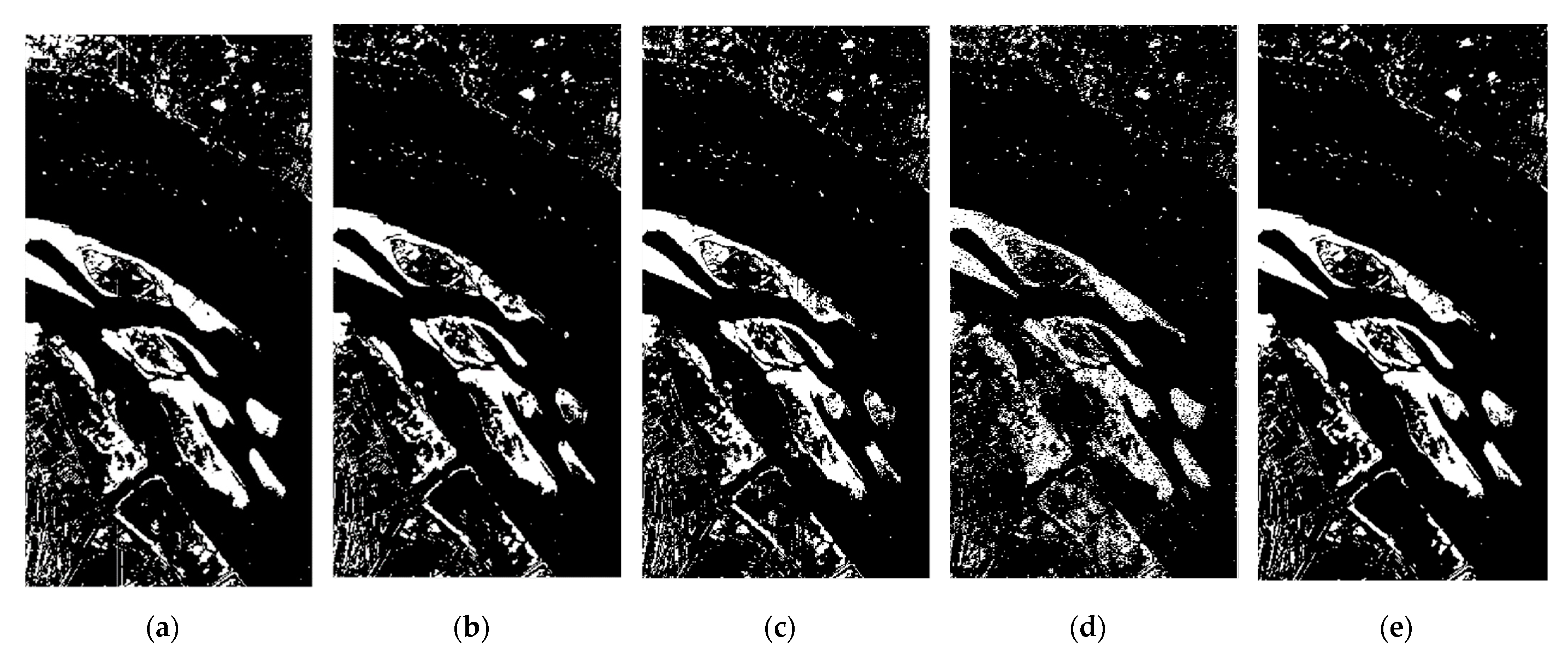 Remotesensing 13 00895 g005a