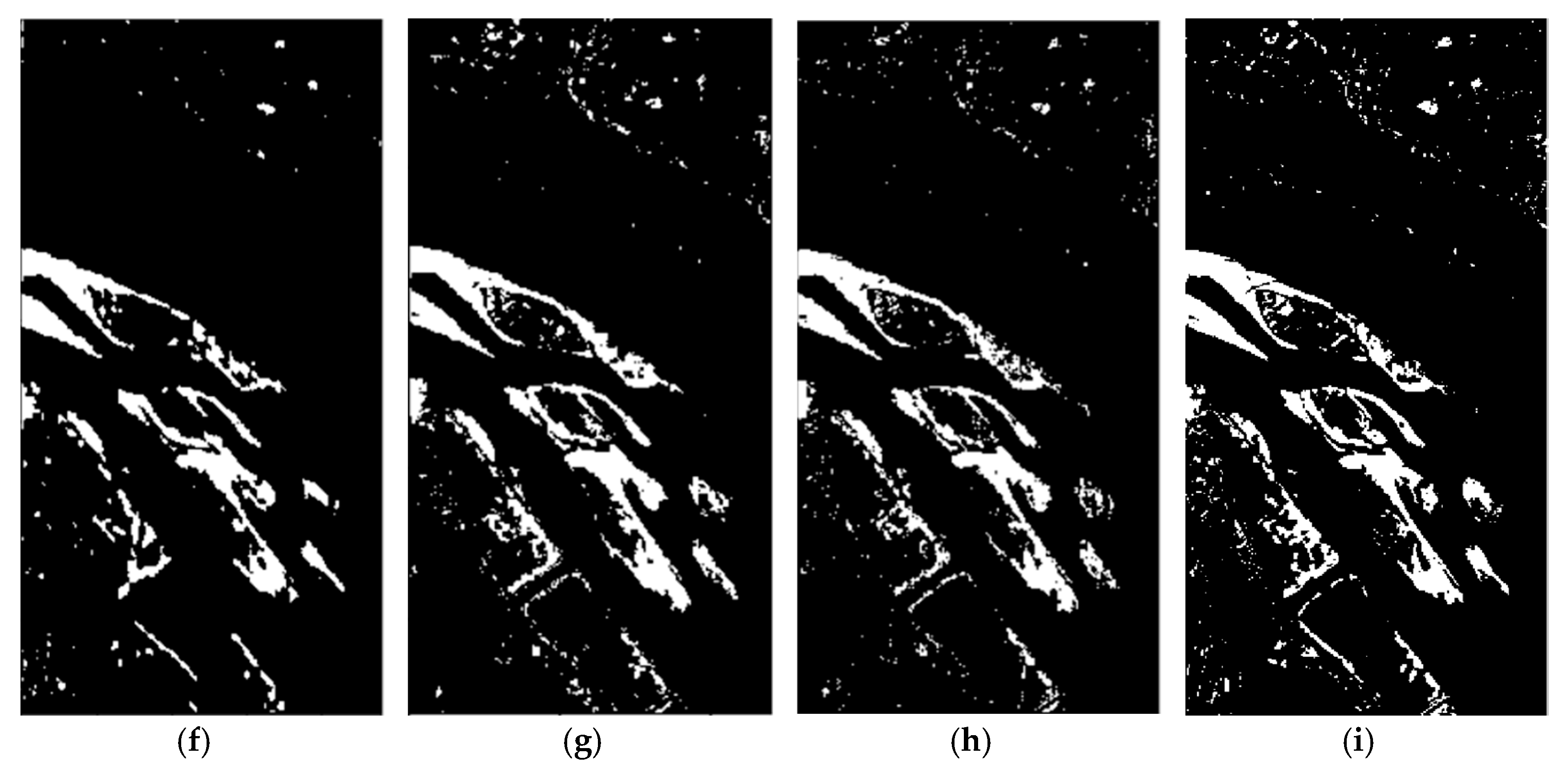 Remotesensing 13 00895 g005b