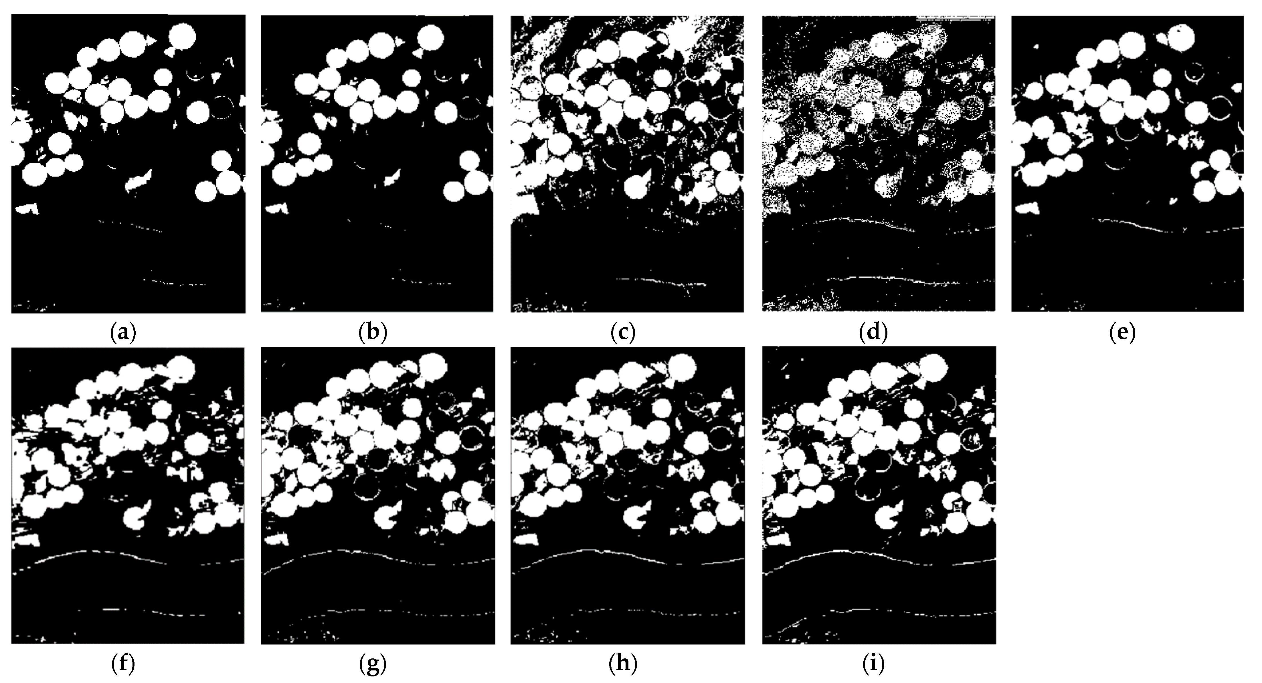 Remotesensing 13 00895 g006