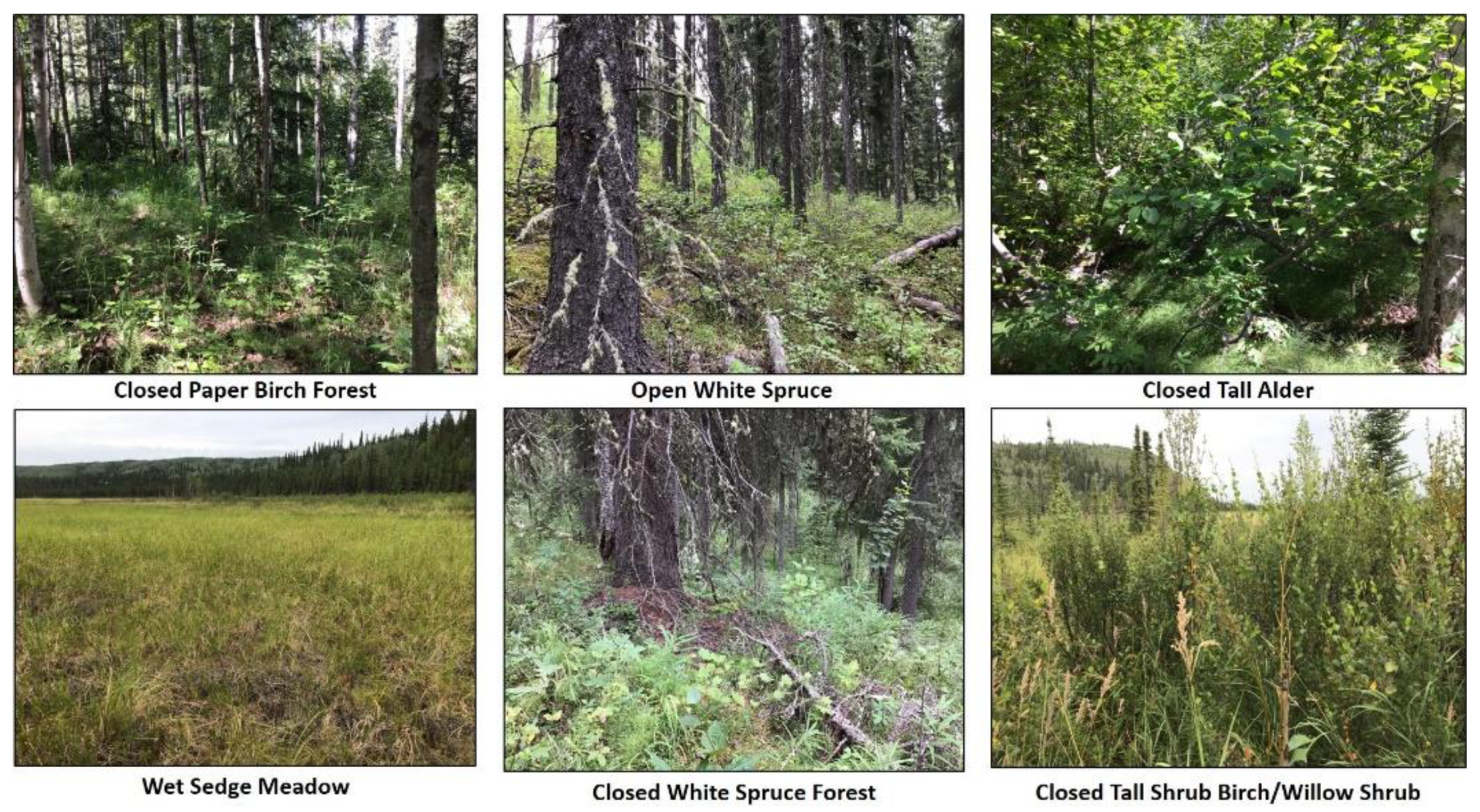 Remotesensing 13 00897 g003