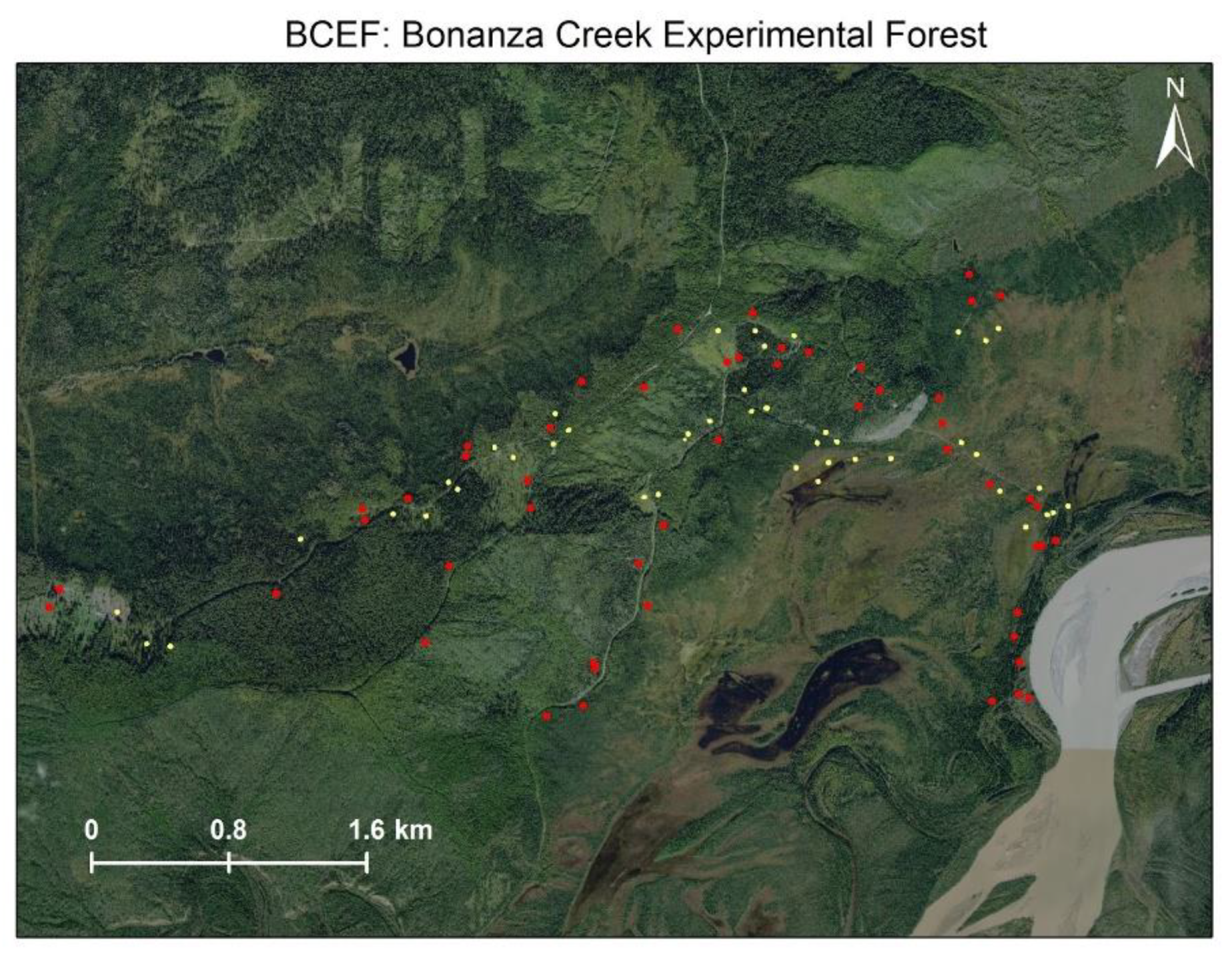 Remotesensing 13 00897 g004