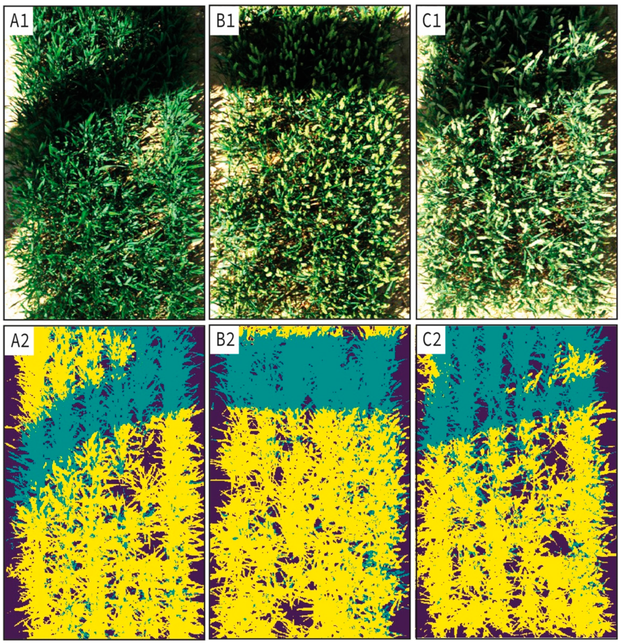 Remotesensing 13 00898 g004