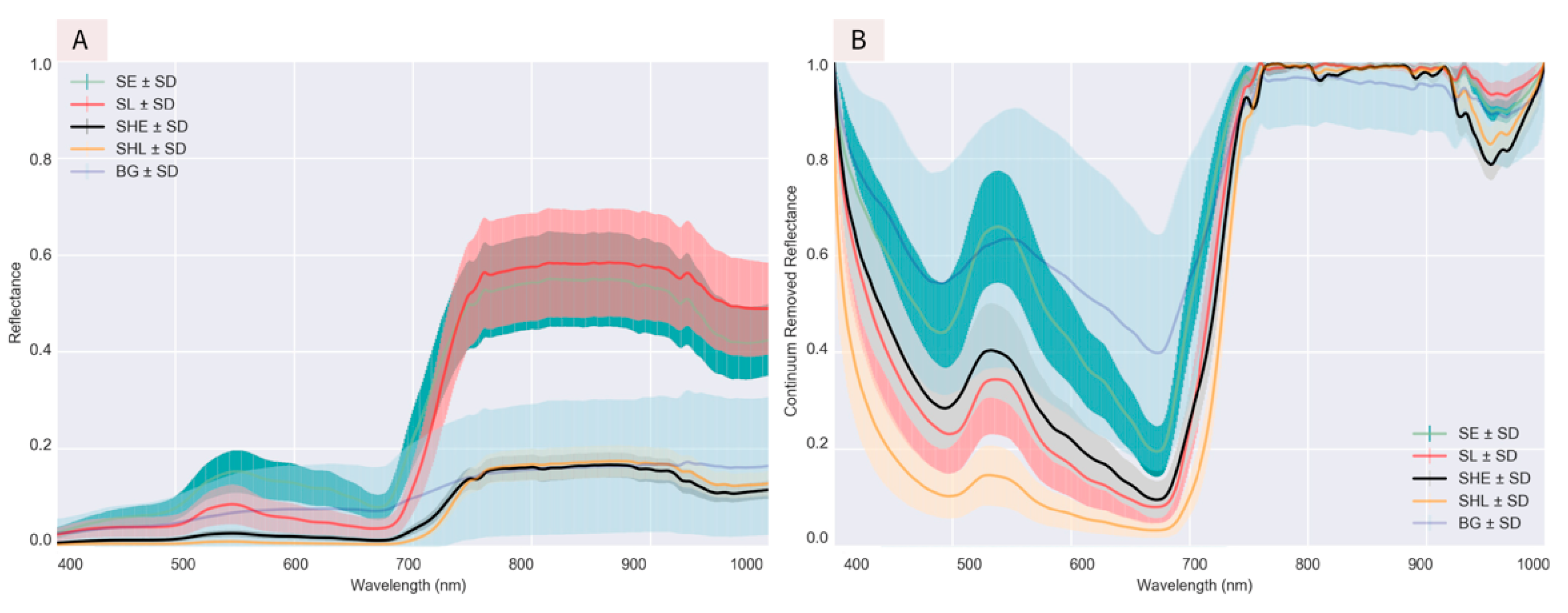 Remotesensing 13 00898 g007