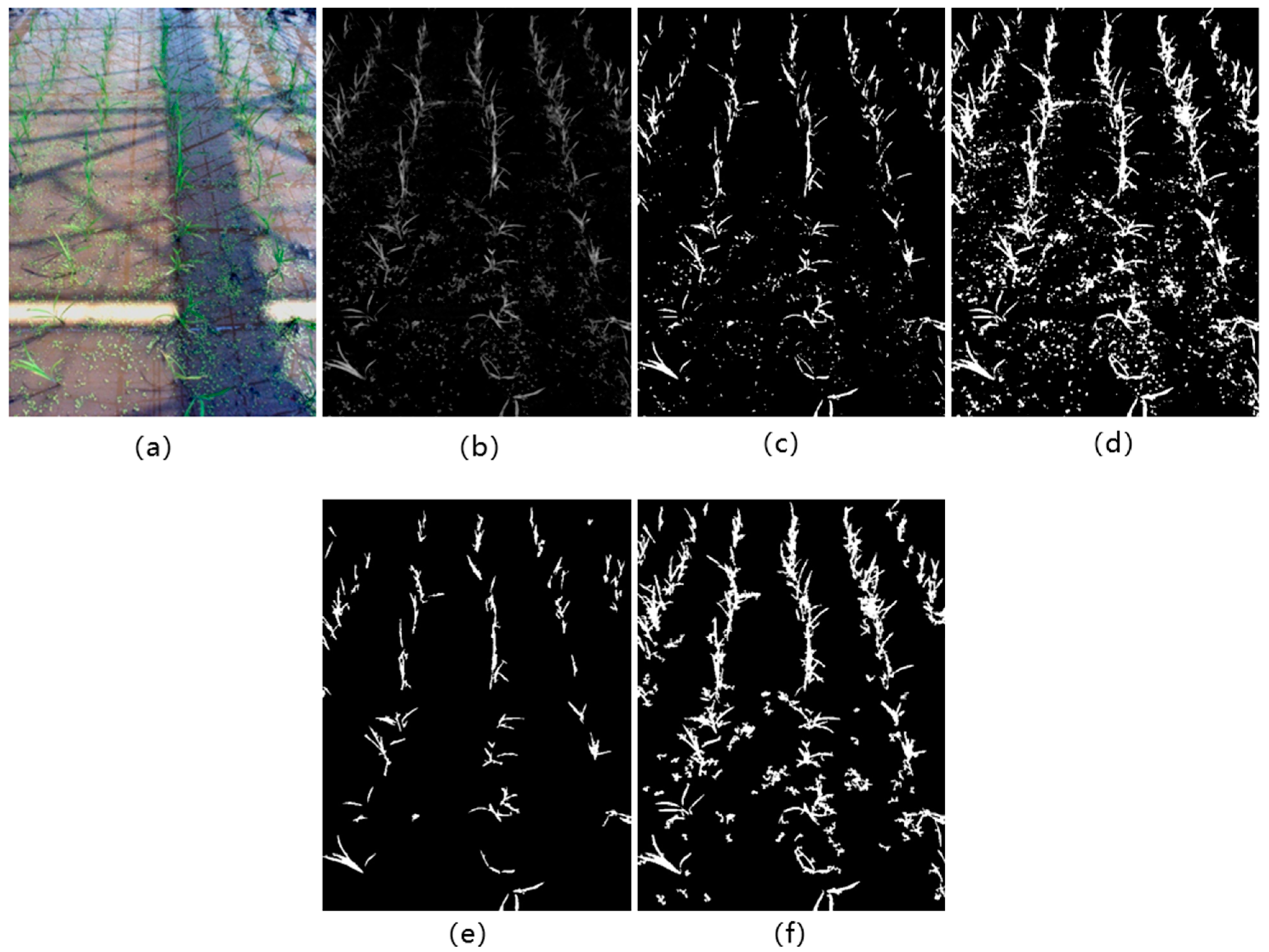 Remotesensing 13 00901 g002 Remotesensing 13 00901 g002