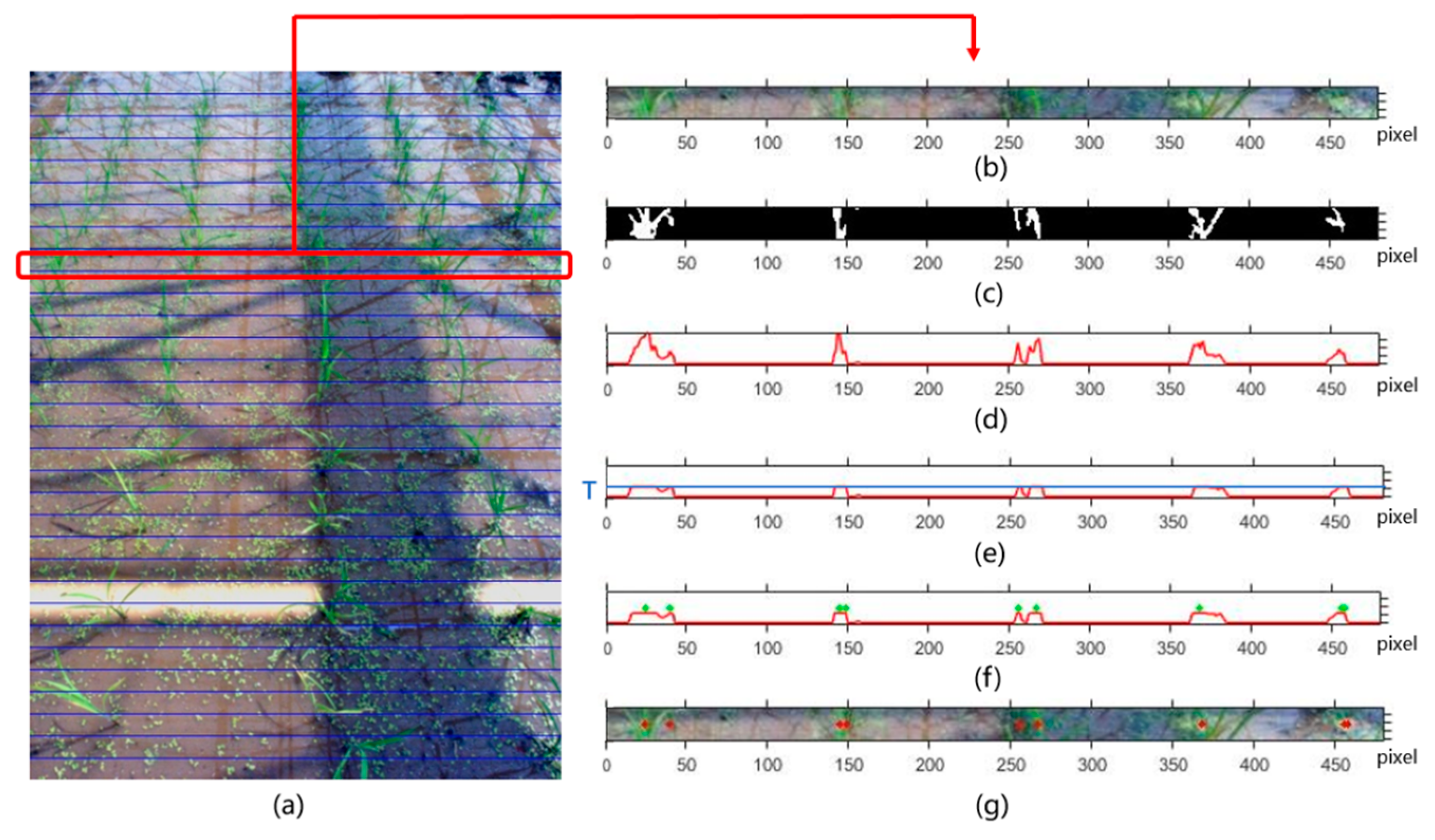 Remotesensing 13 00901 g003 Remotesensing 13 00901 g003