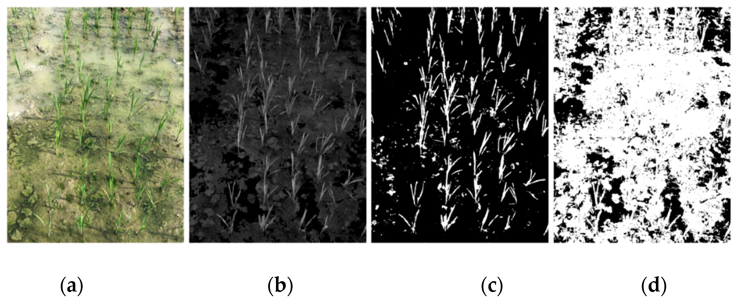 Remotesensing 13 00901 g007 Remotesensing 13 00901 g007