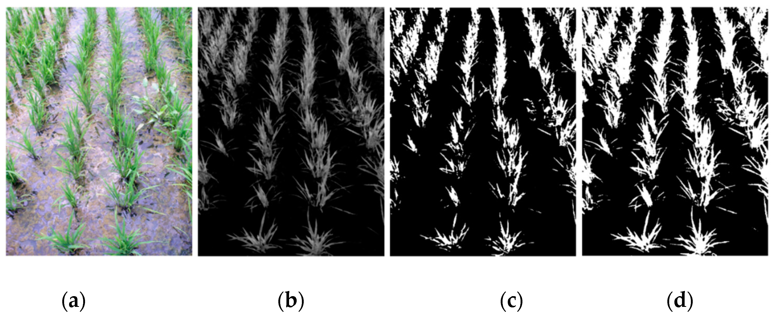 Remotesensing 13 00901 g008 Remotesensing 13 00901 g008