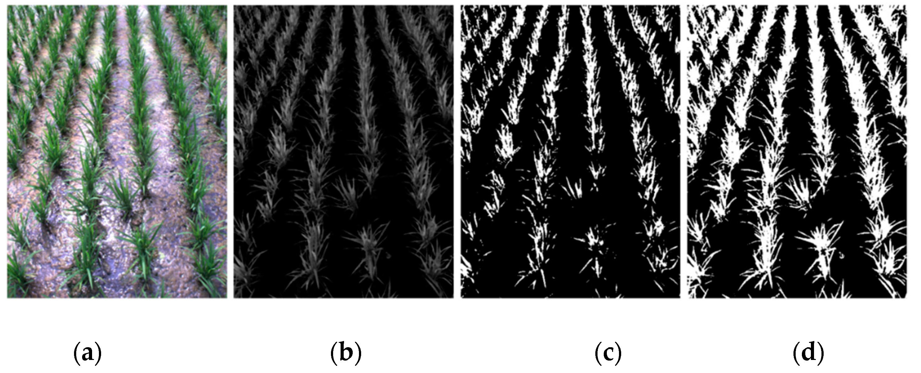 Remotesensing 13 00901 g009 Remotesensing 13 00901 g009