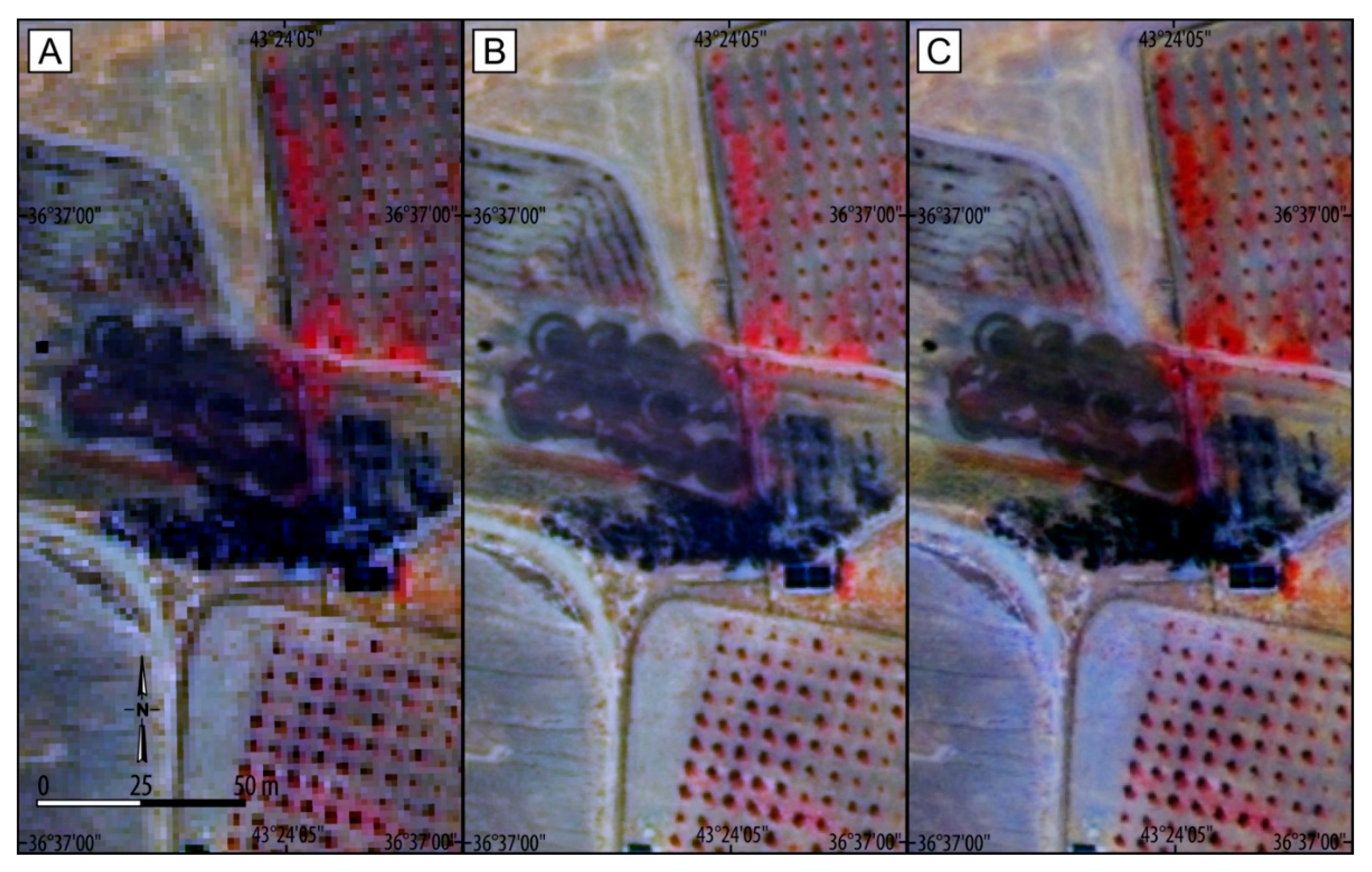 Remotesensing 13 00904 g006