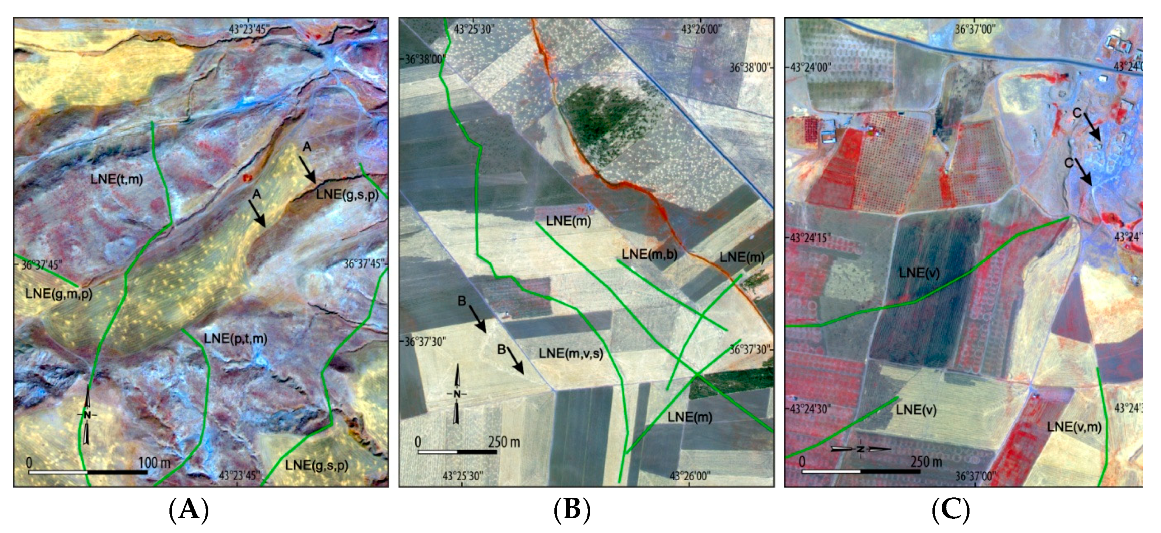 Remotesensing 13 00904 g009