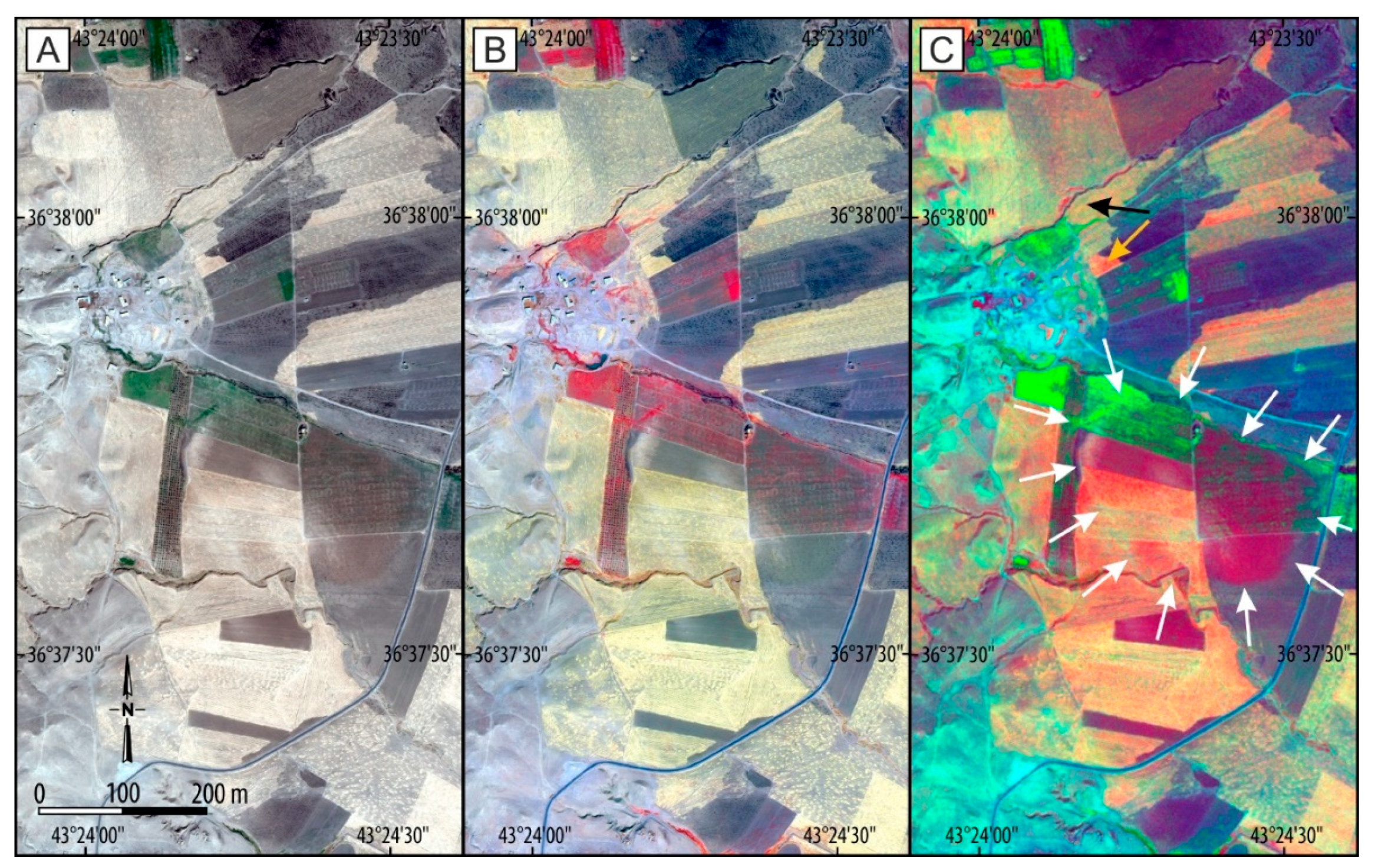 Remotesensing 13 00904 g011