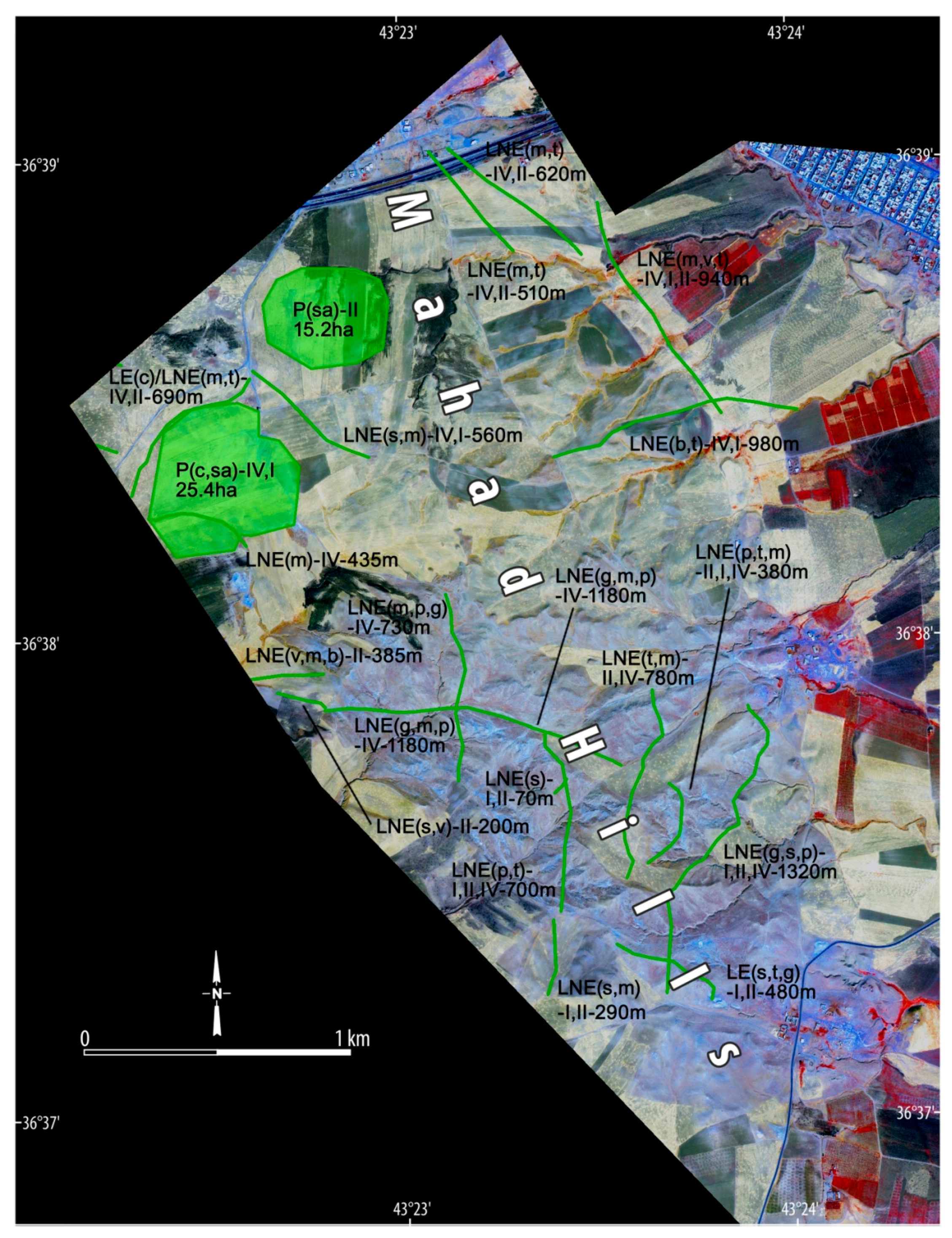 Remotesensing 13 00904 g012