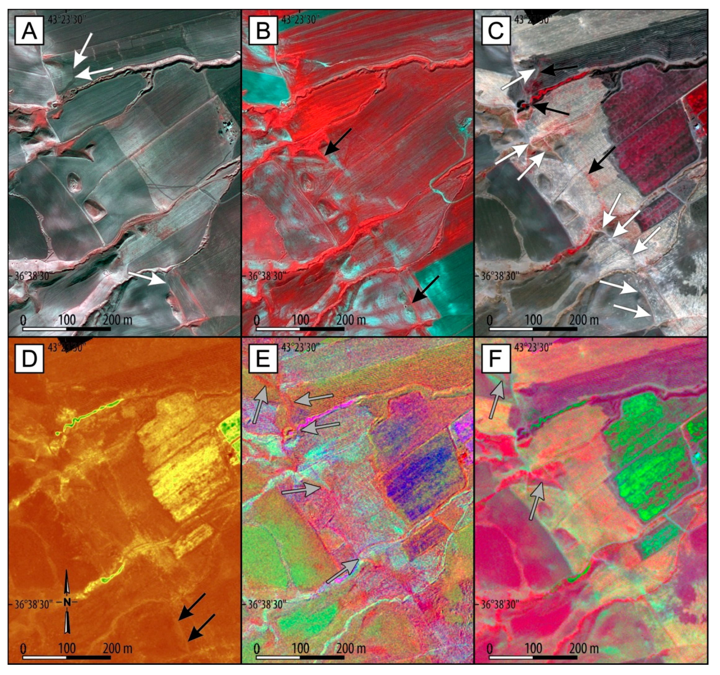 Remotesensing 13 00904 g013