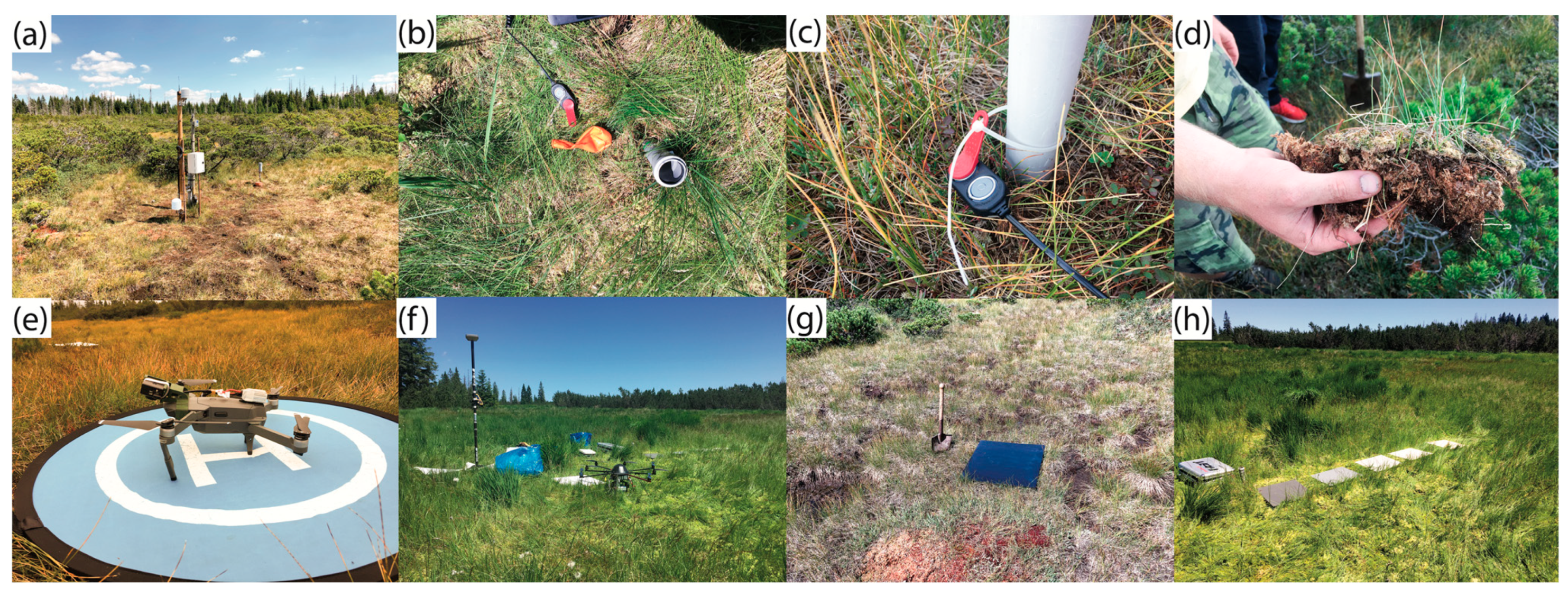 Remotesensing 13 00907 g003